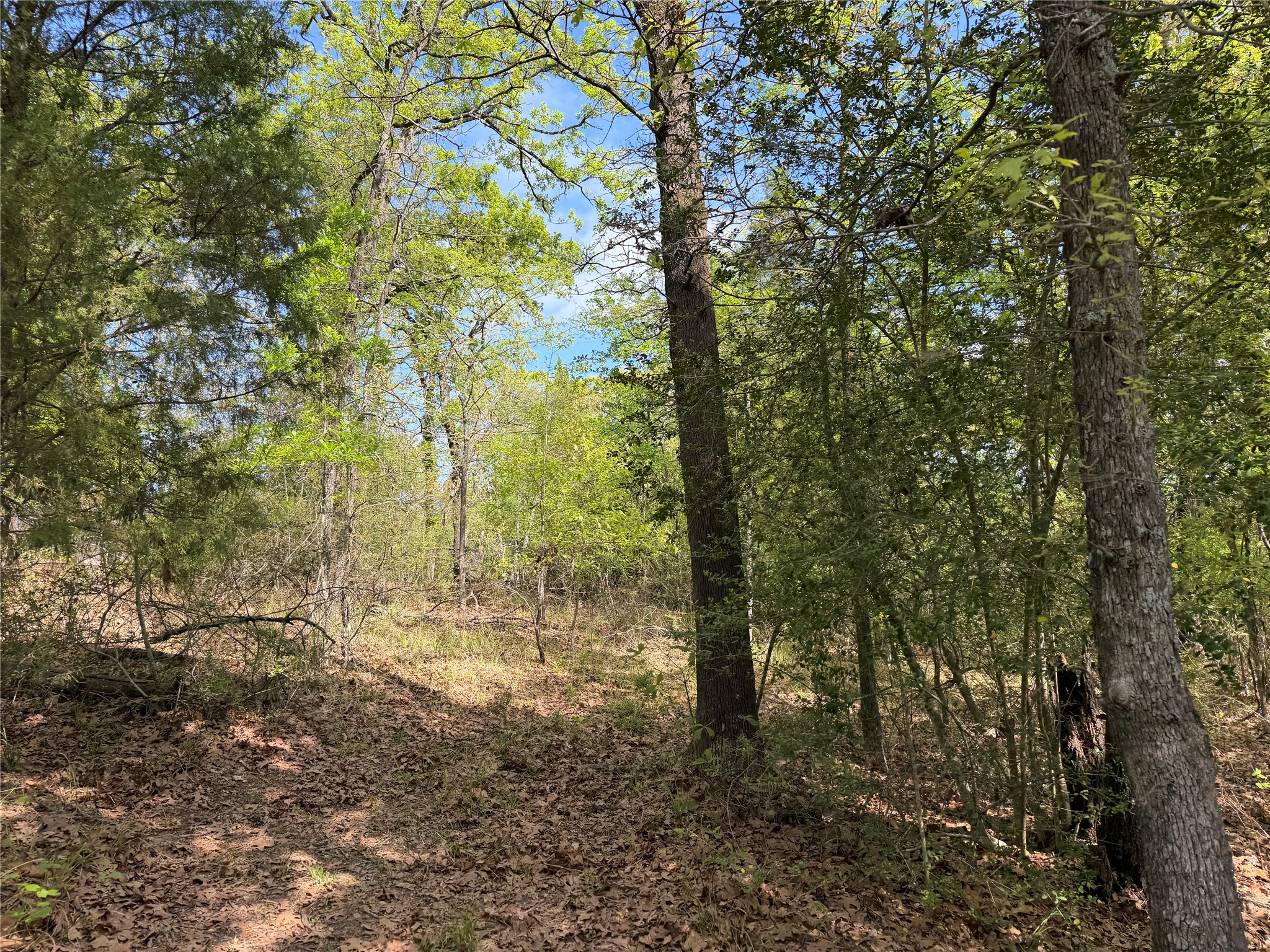 6075 County Road 1411