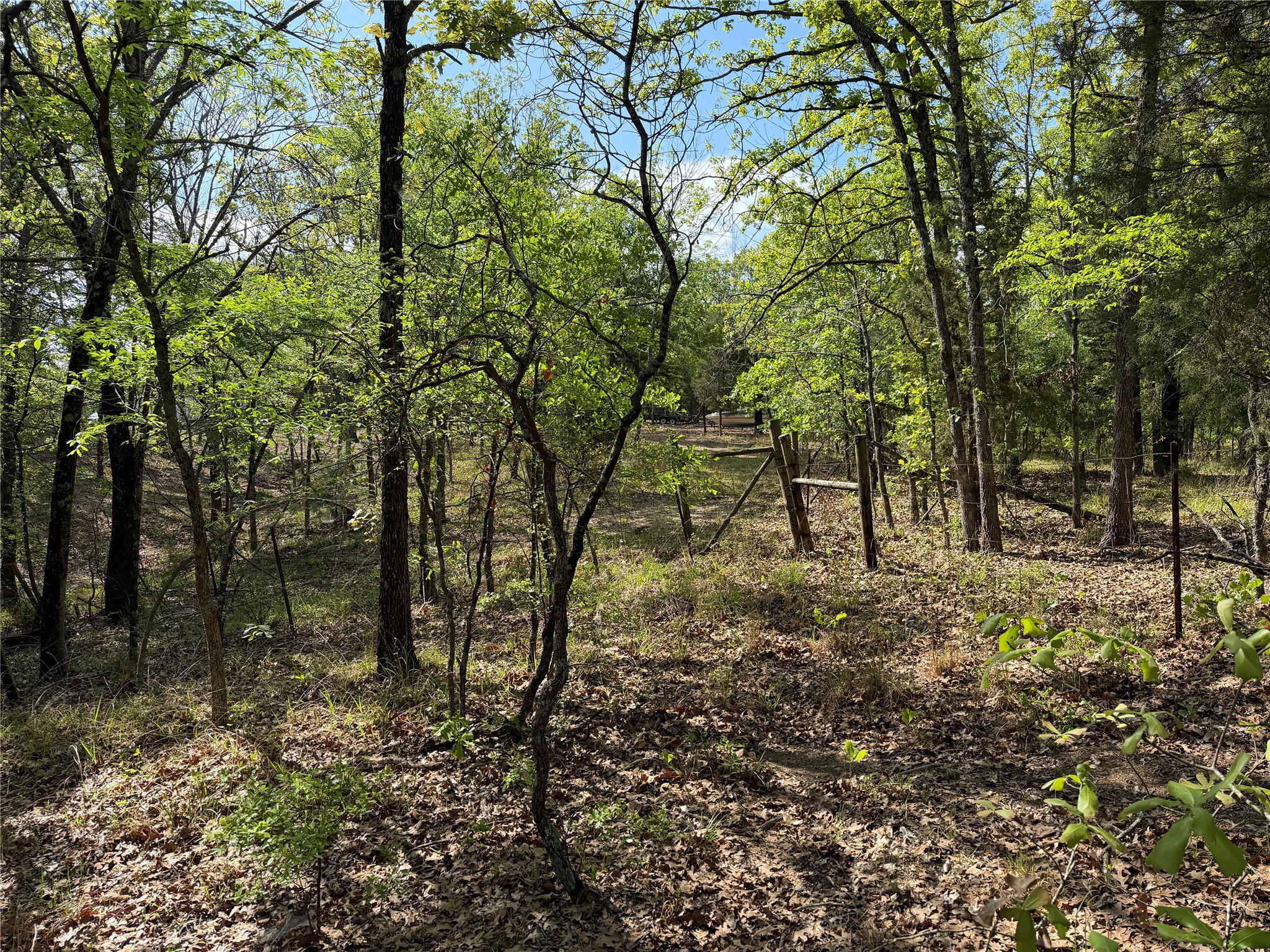 6075 County Road 1411