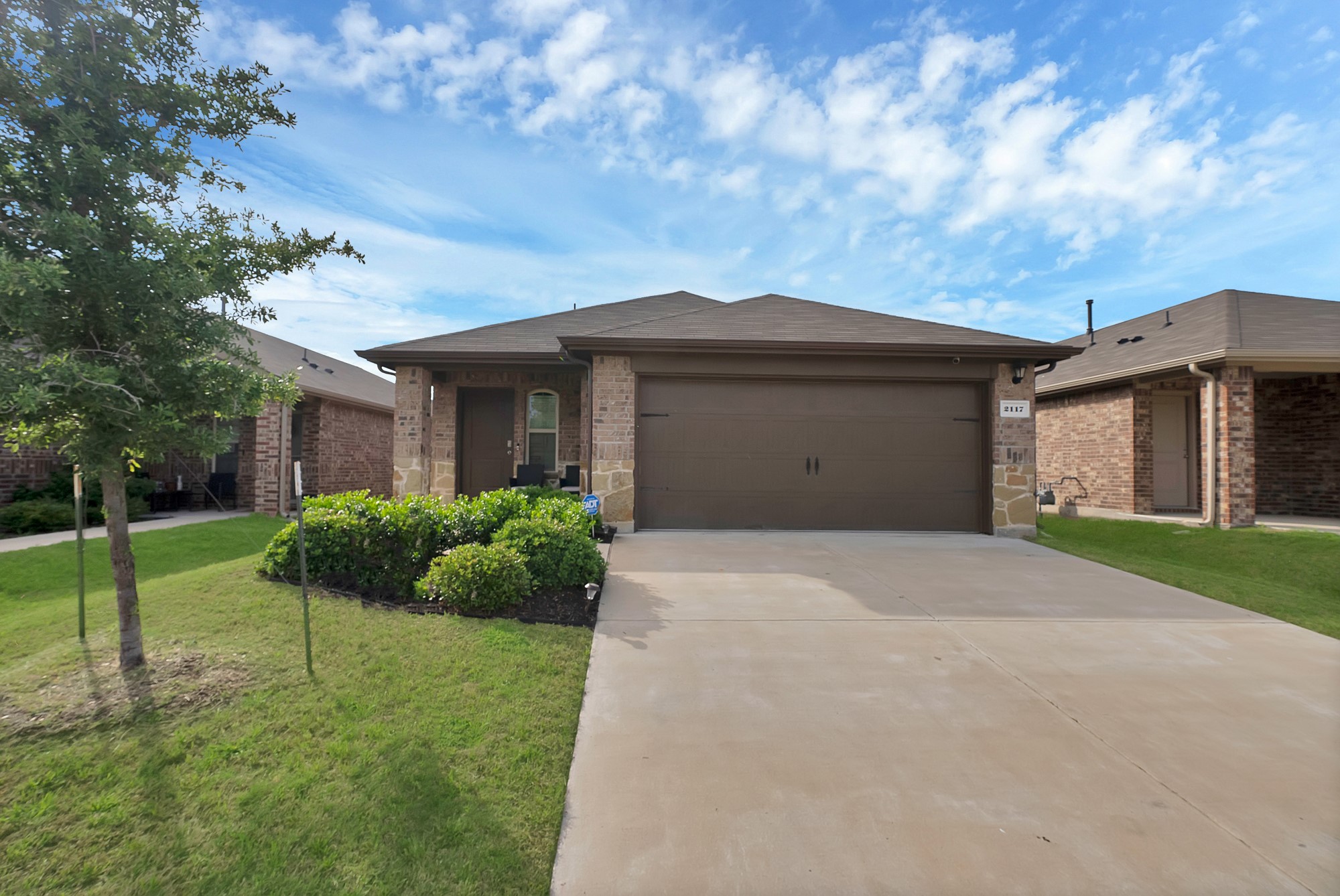 2117 Ocelot Street
