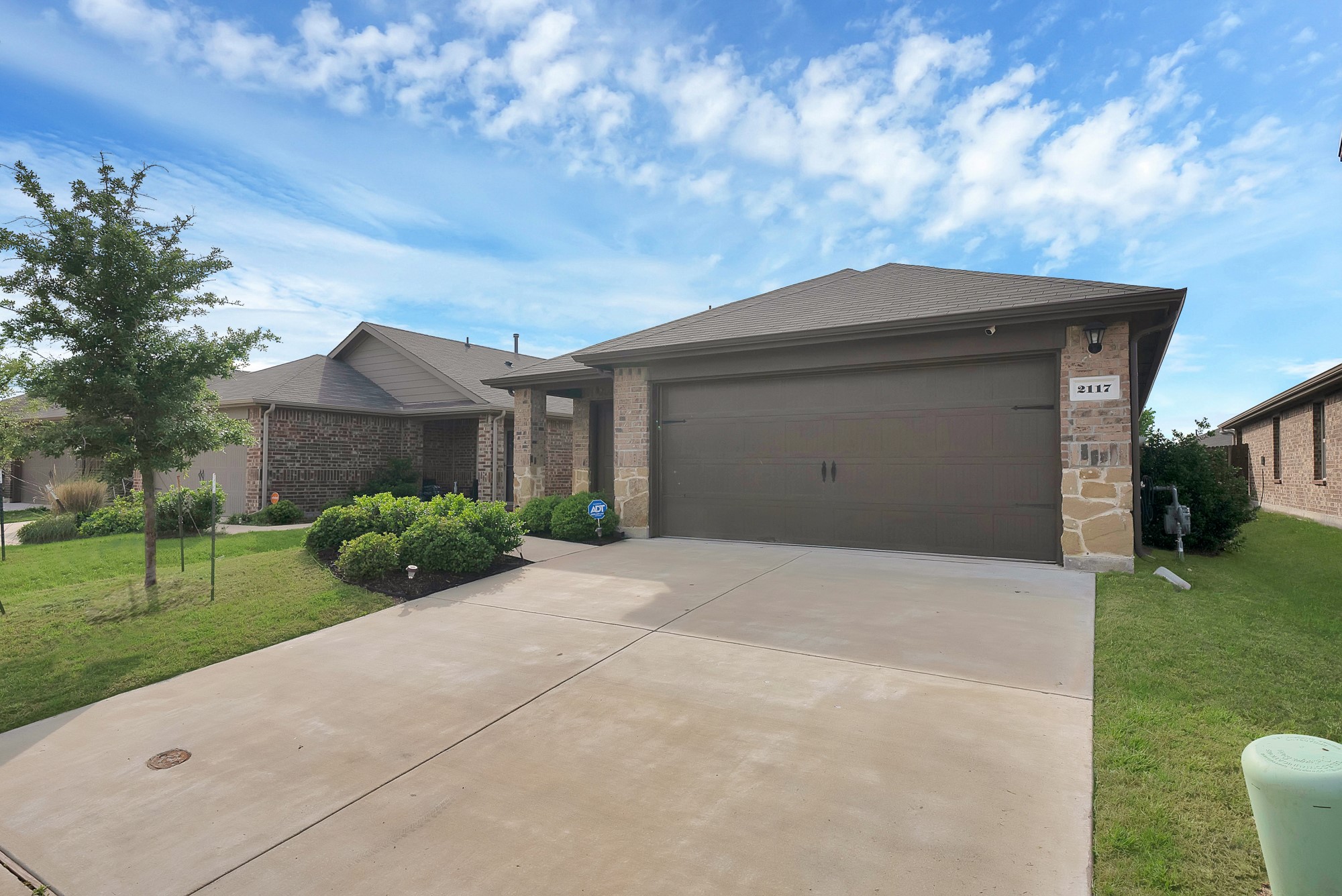 2117 Ocelot Street