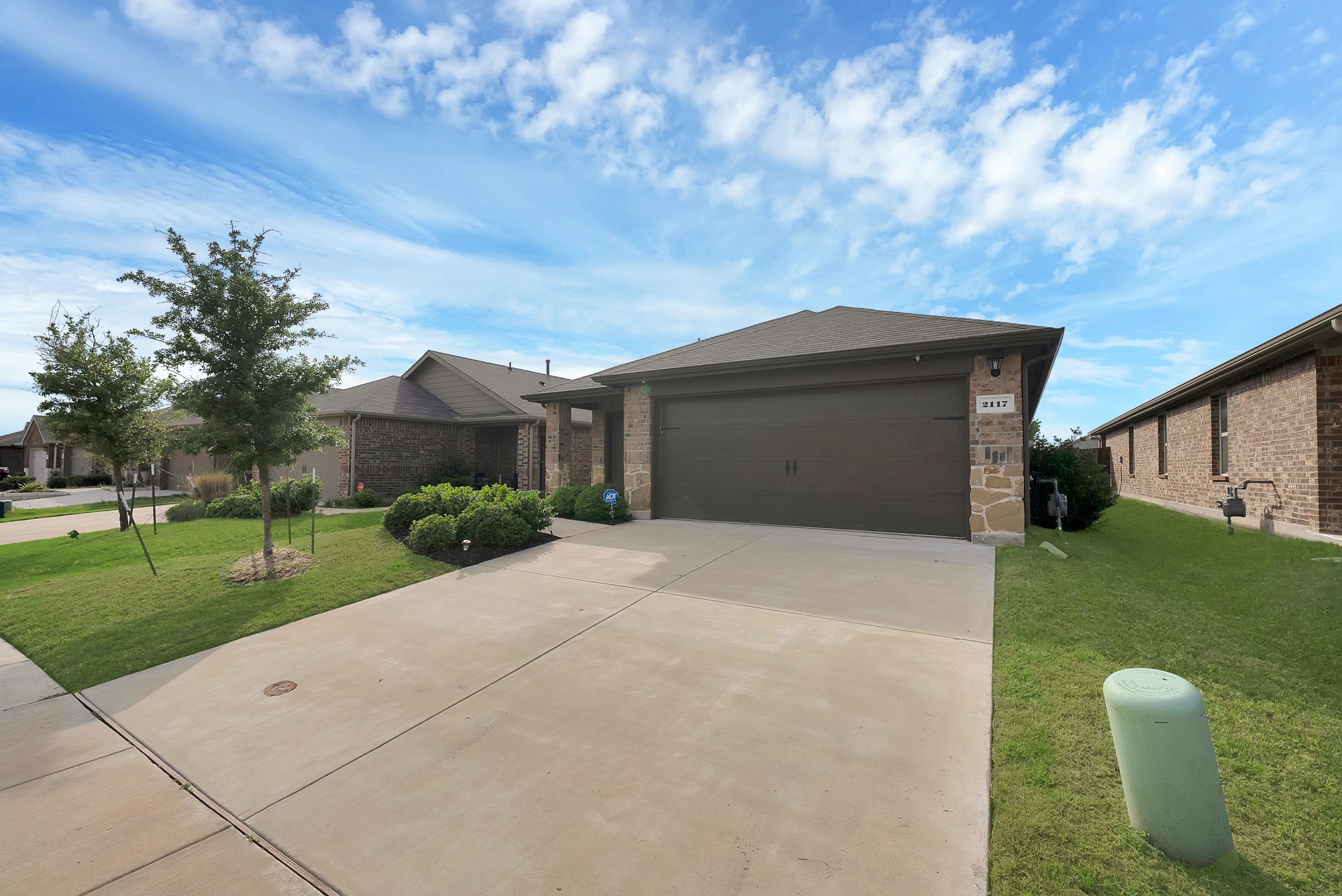 2117 Ocelot Street