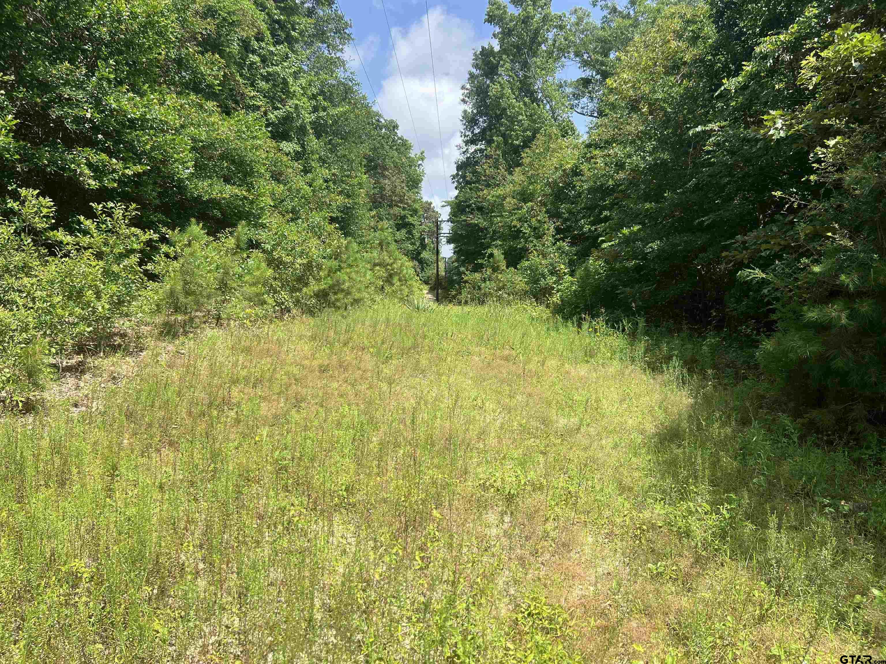 301 Bluebonnet