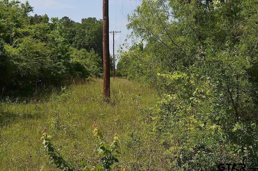 301 Bluebonnet