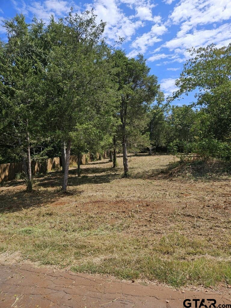 433 Timberline