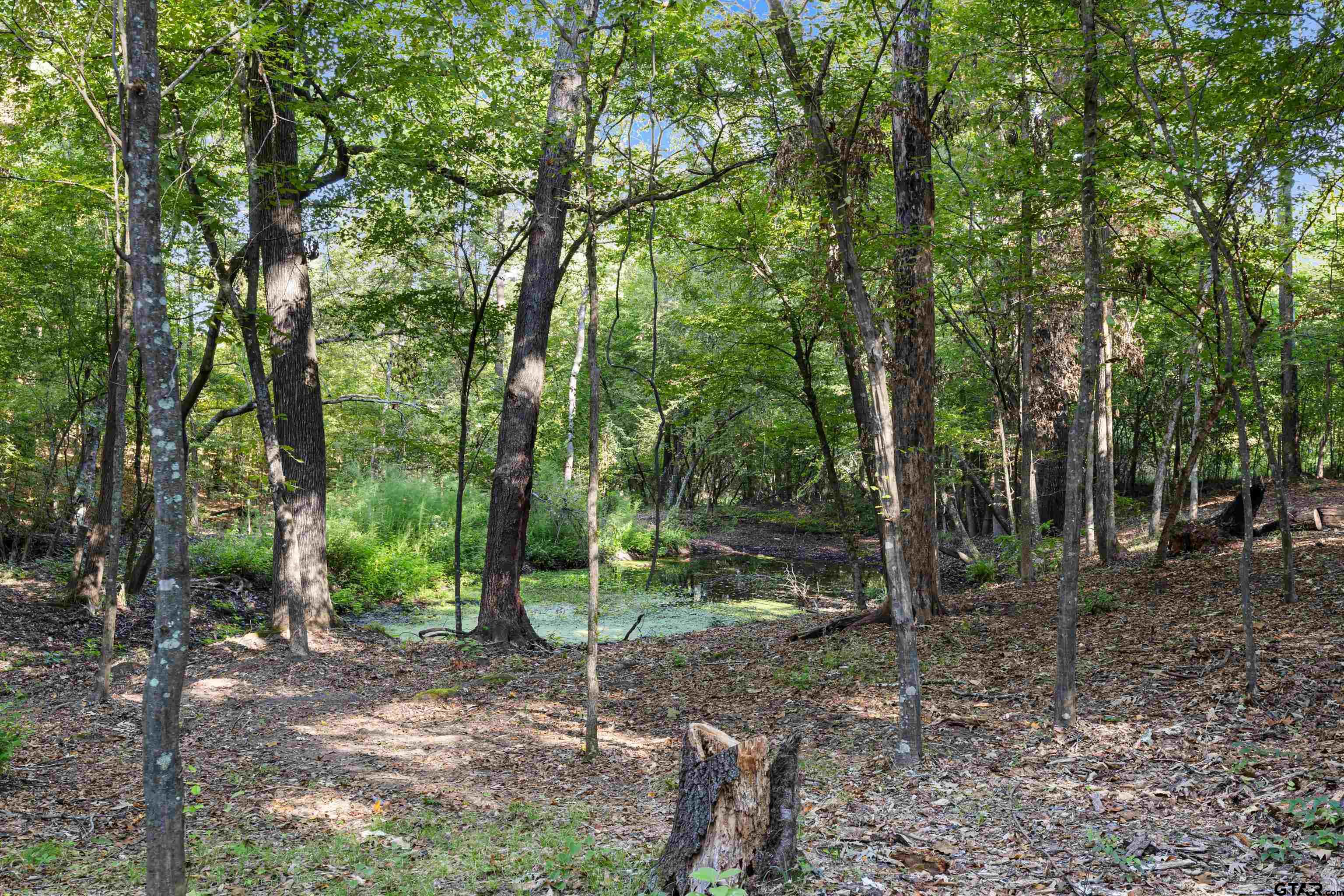 448 Private Road 6685