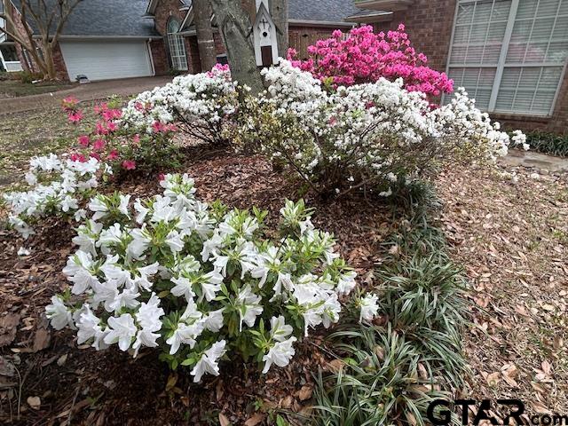 3601 Flagstone
