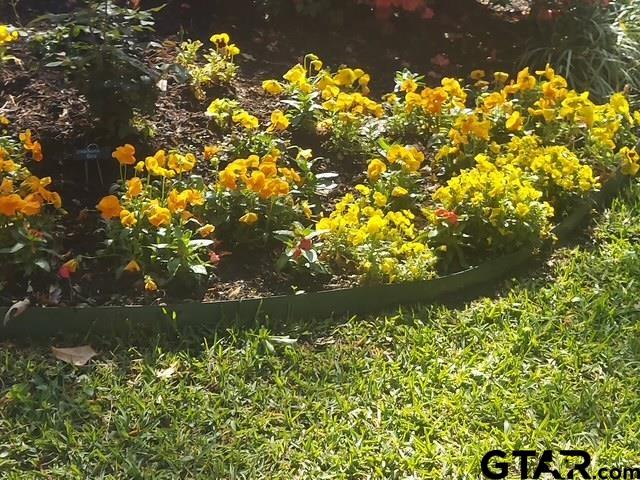 3601 Flagstone