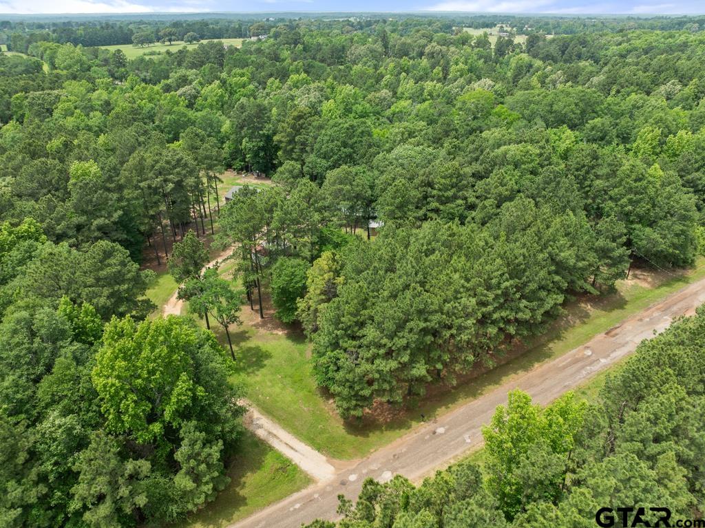 19598 County Road 2343