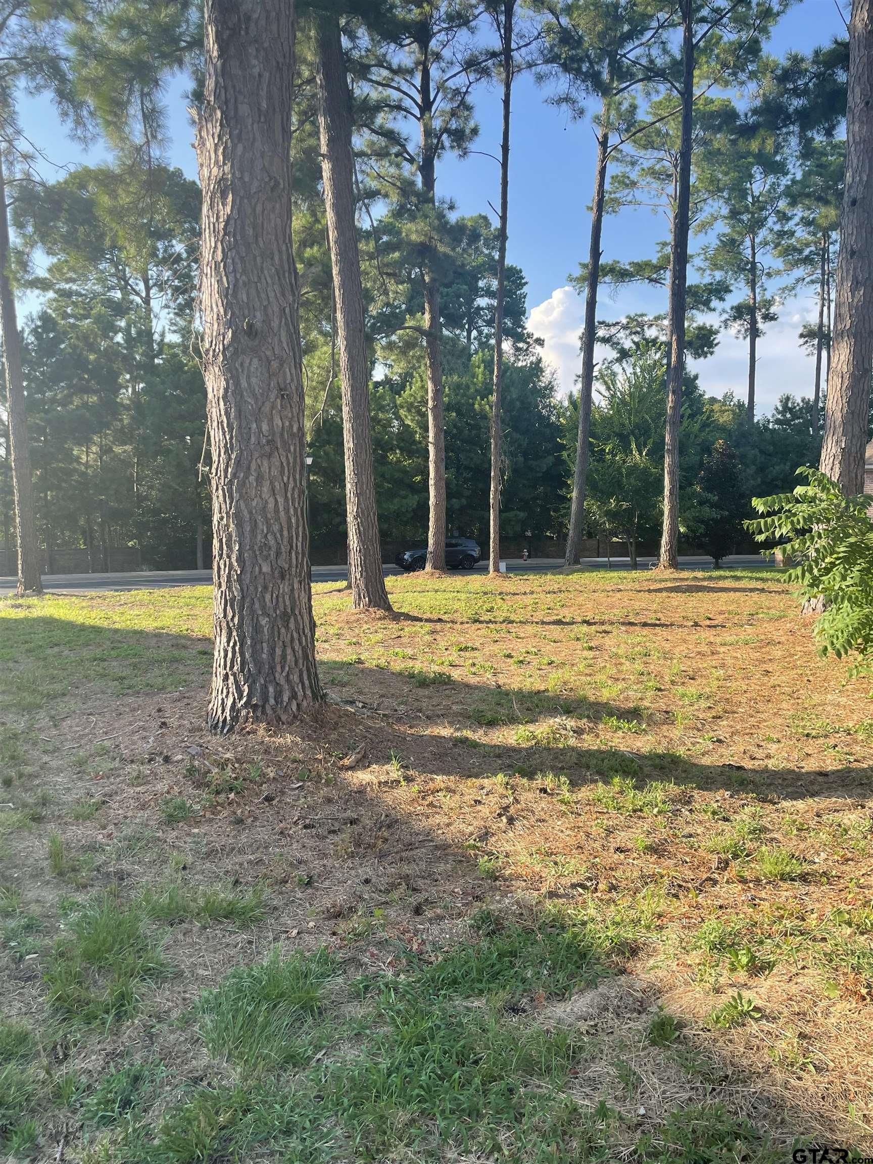 1133 Gardenwood Dr
