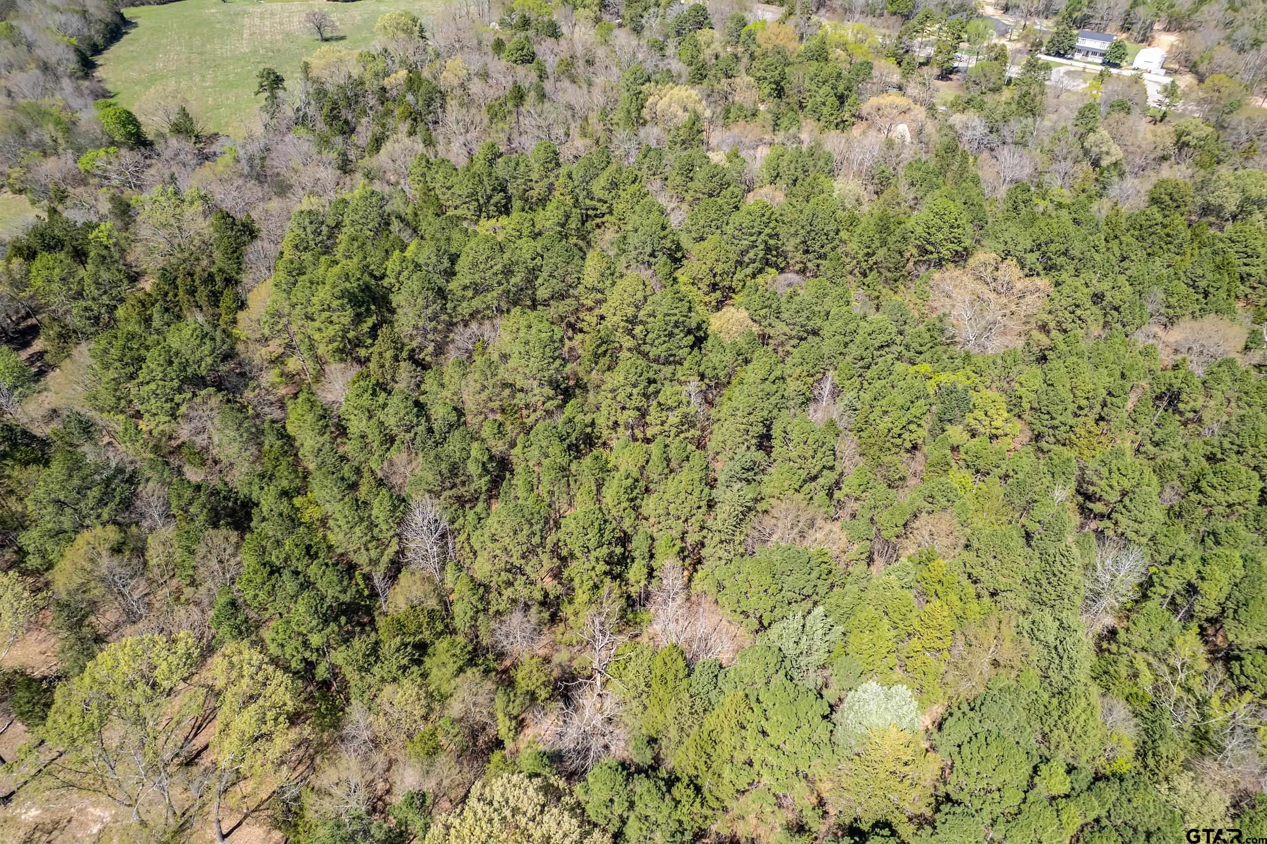 7715 State Hwy 64