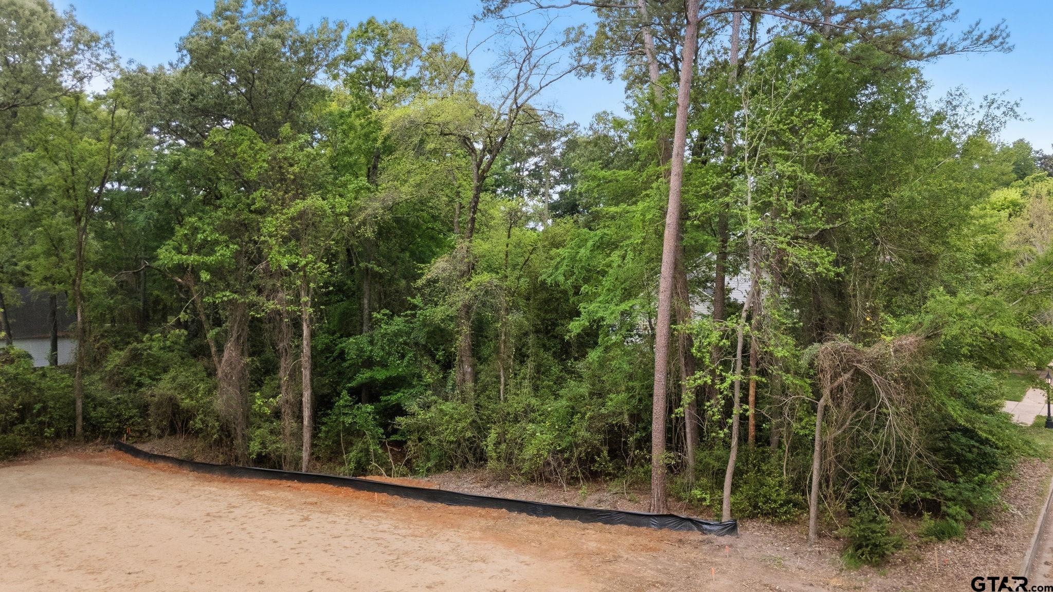 3933 Charleston Park