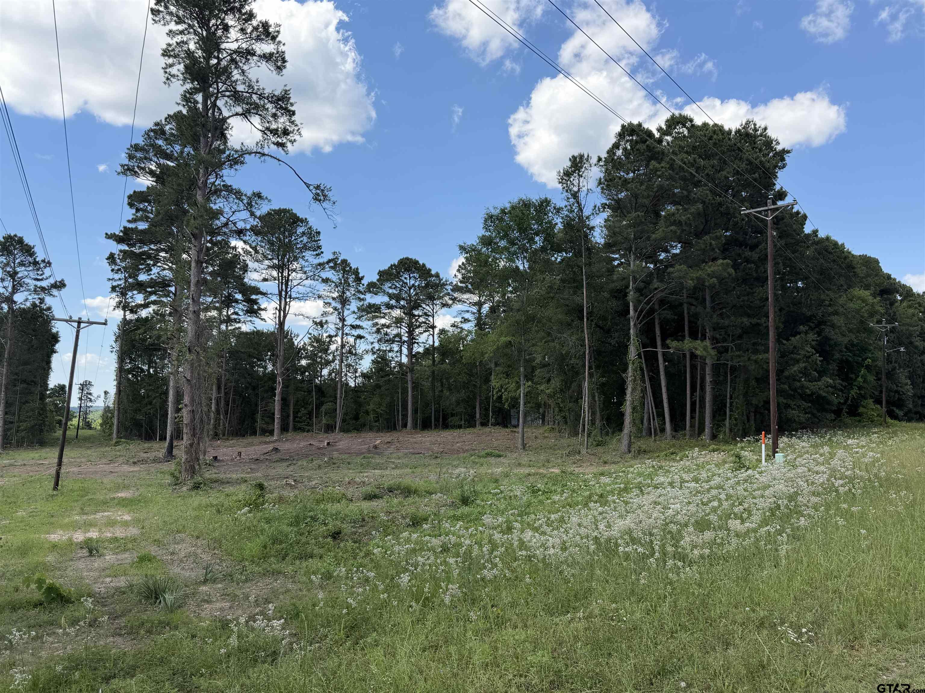 1290 County Road 3210