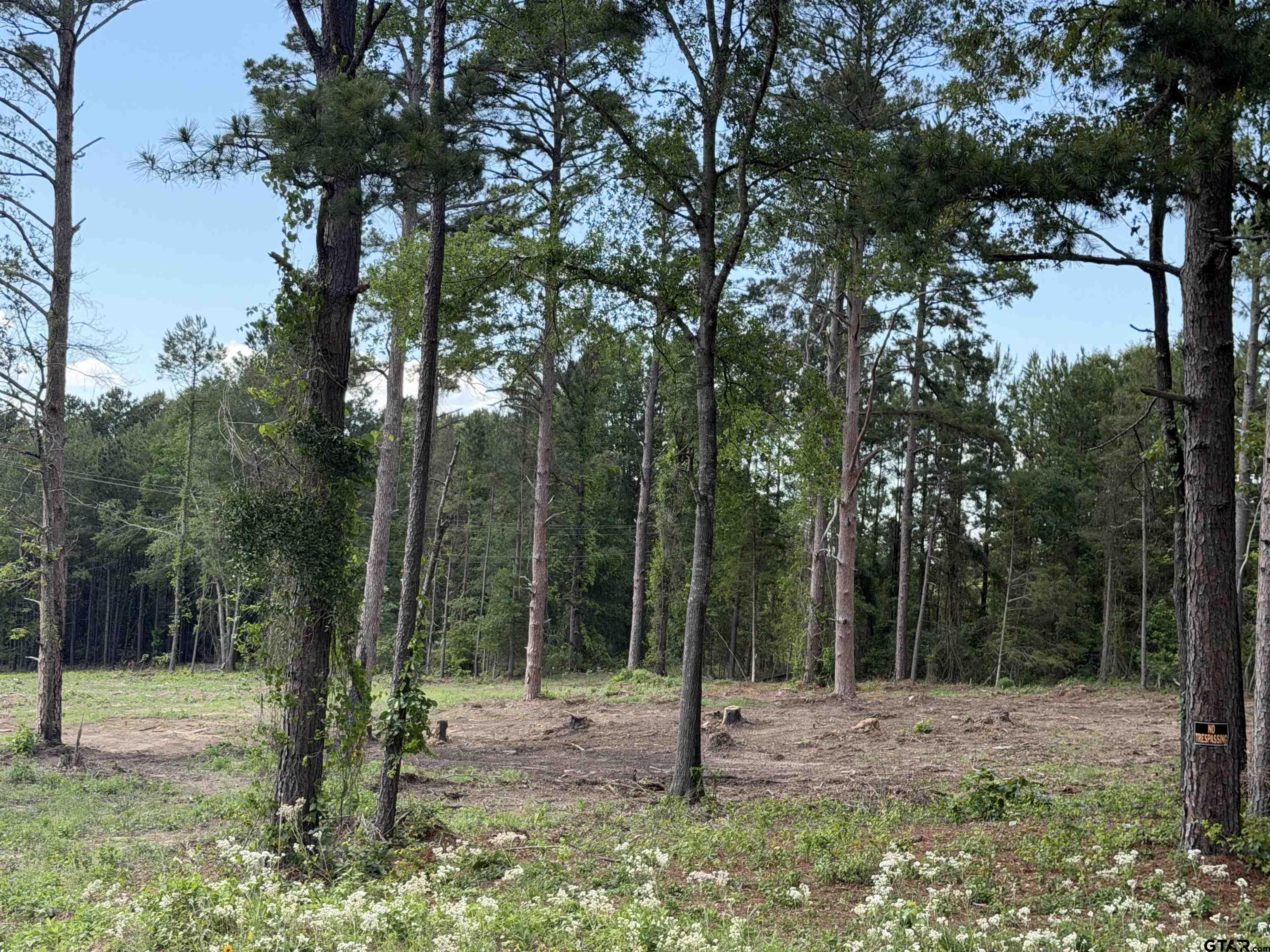 1290 County Road 3210