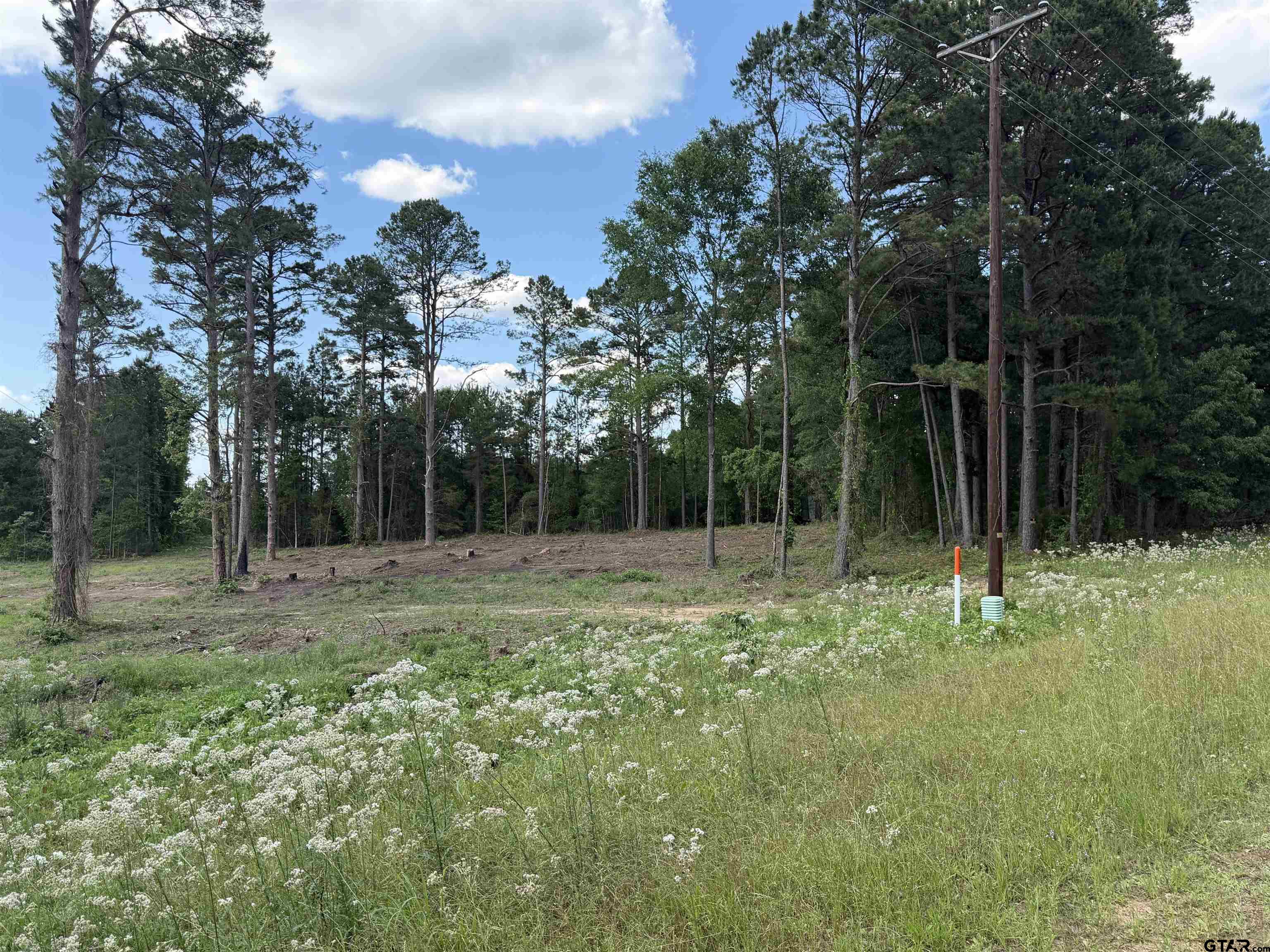 1290 County Road 3210