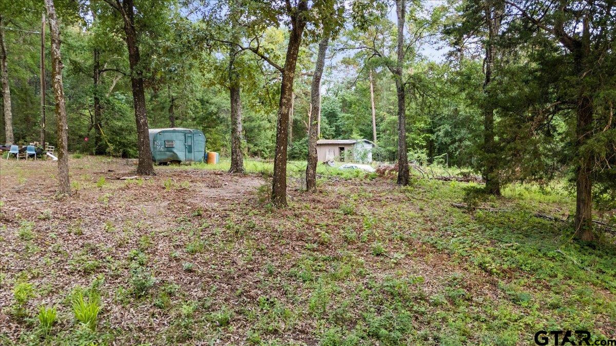 12772 County Road 353