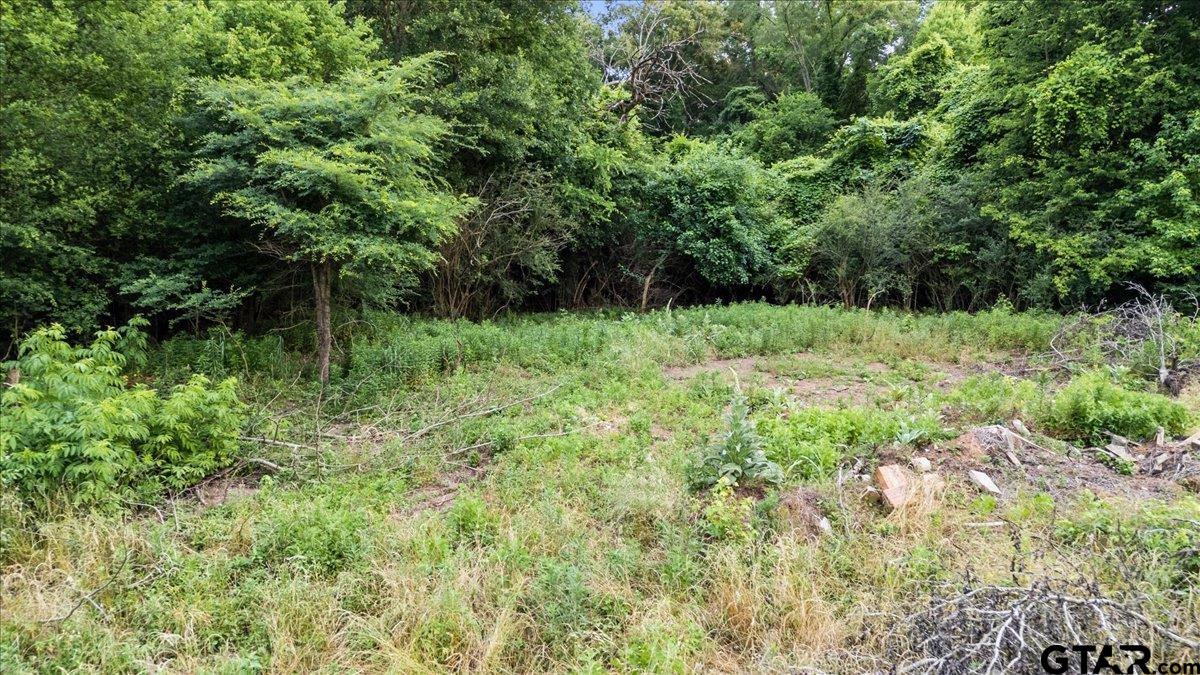 12772 County Road 353