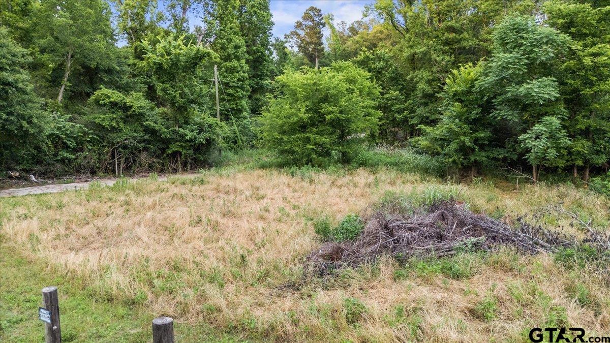 12772 County Road 353