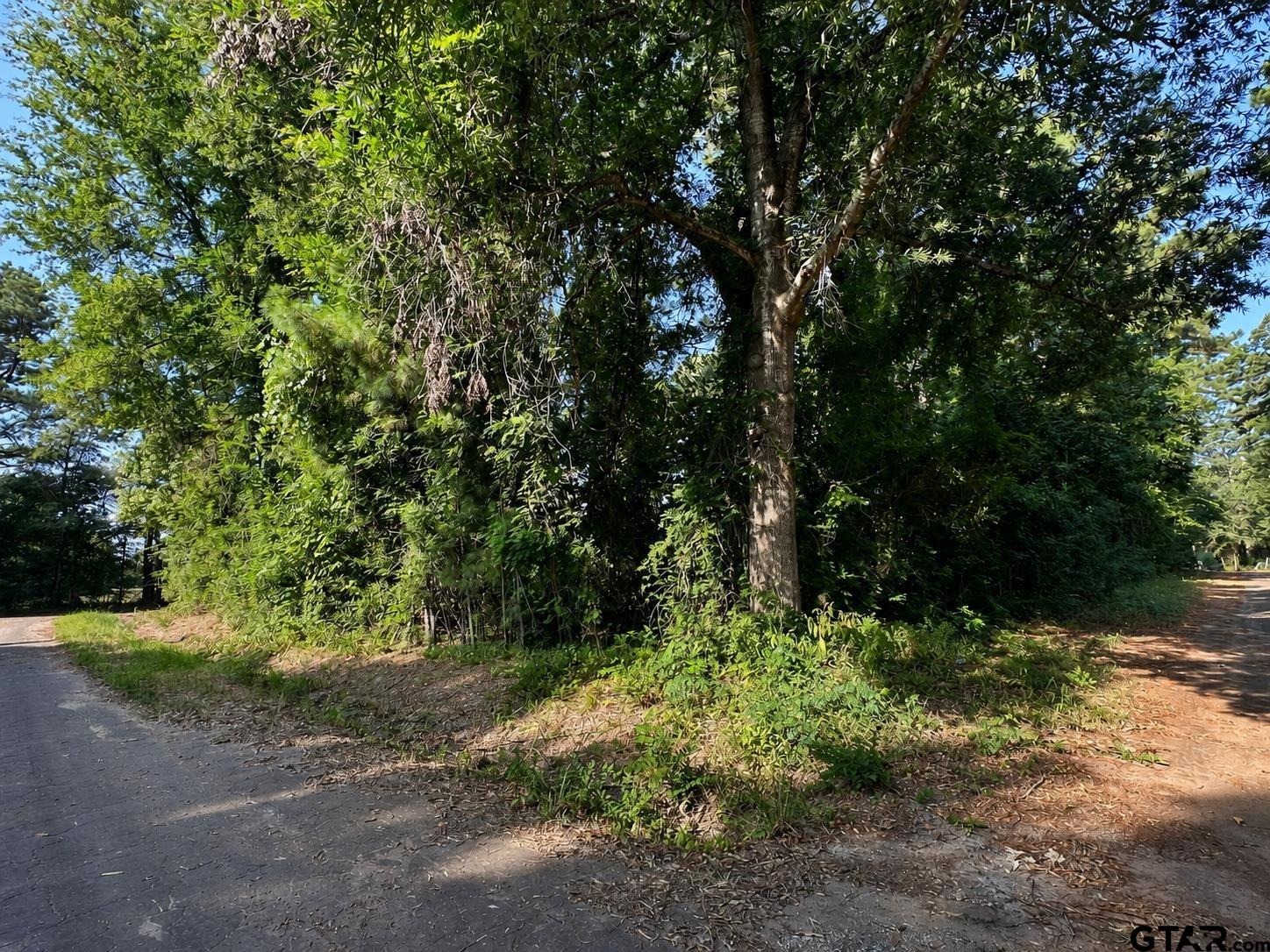 TBD County Road 2177