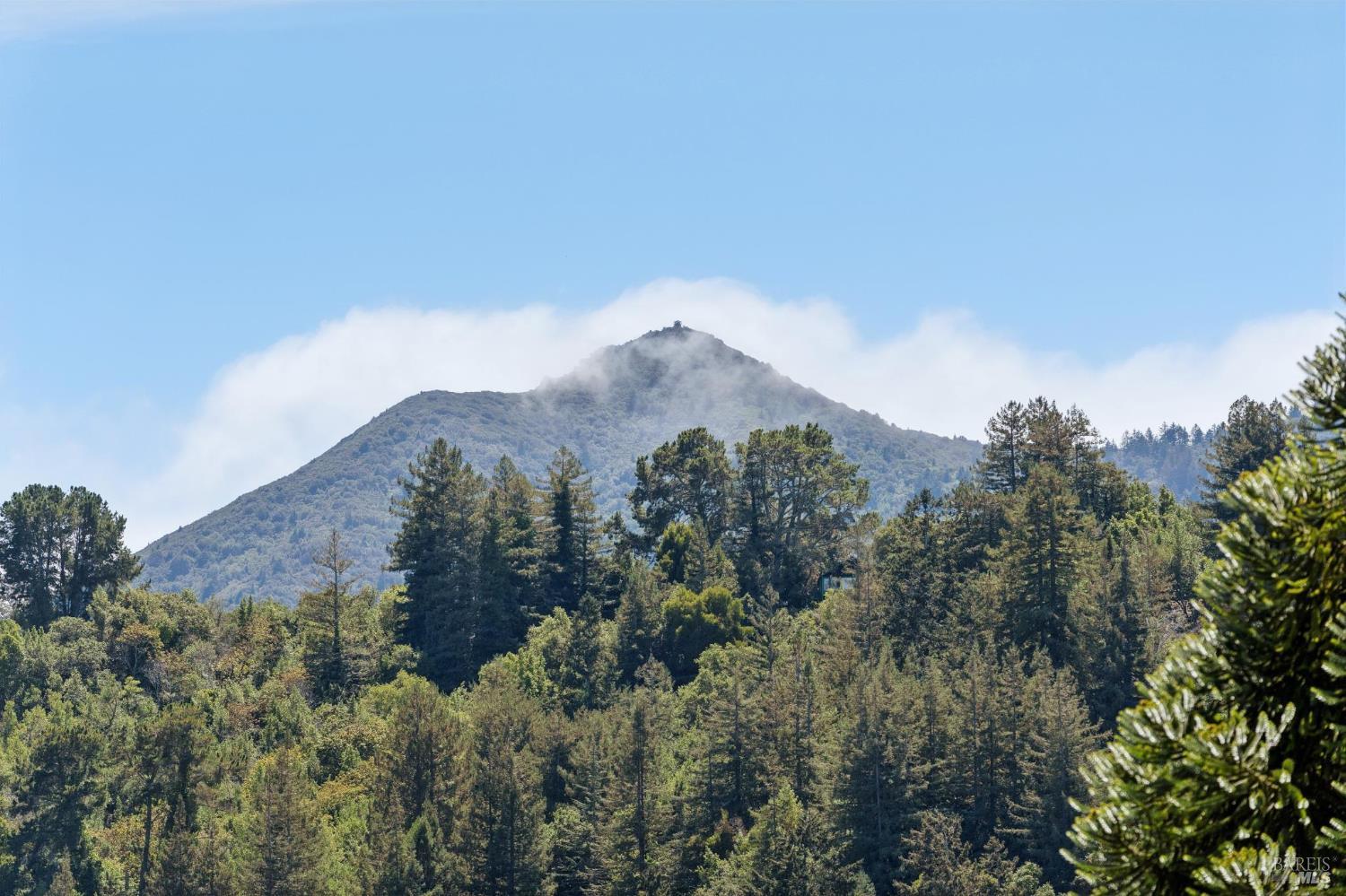 247 Santa Margarita Drive
