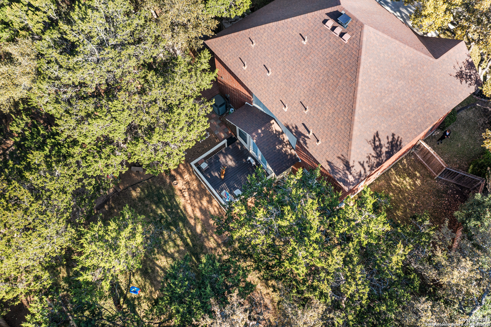 10902 Bristle Oak