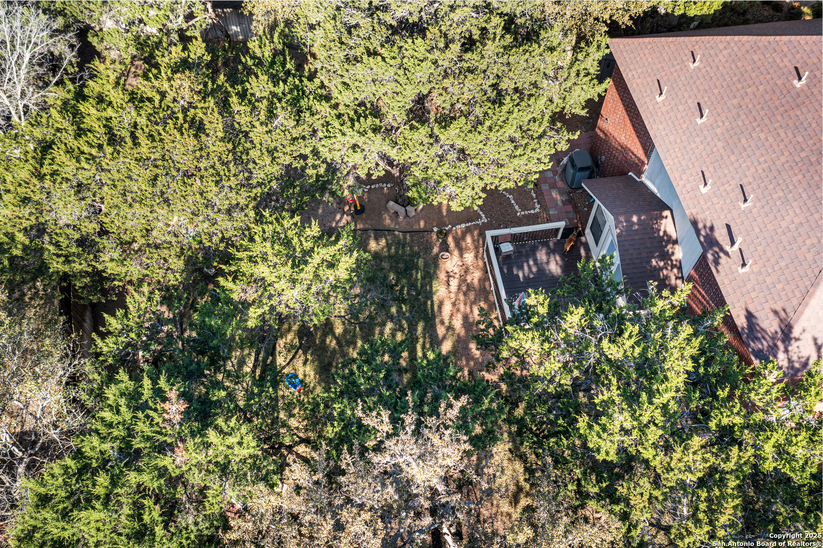 10902 Bristle Oak