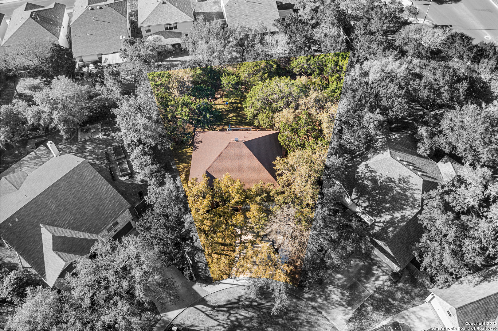 10902 Bristle Oak