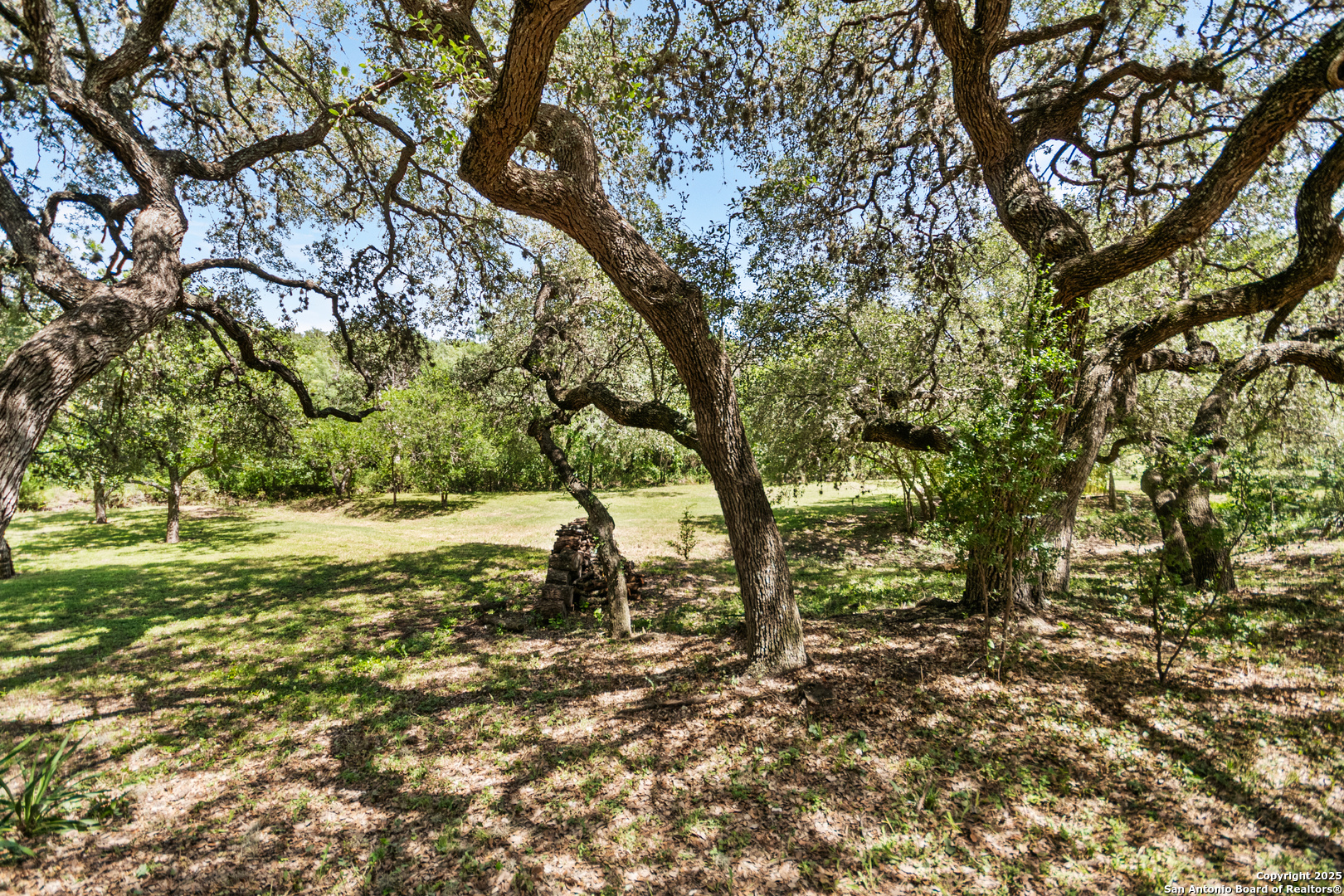 5620 Mount Helen