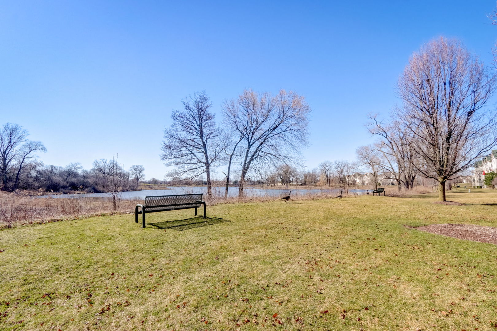 463 Saddlebrook Lane Unit: 1