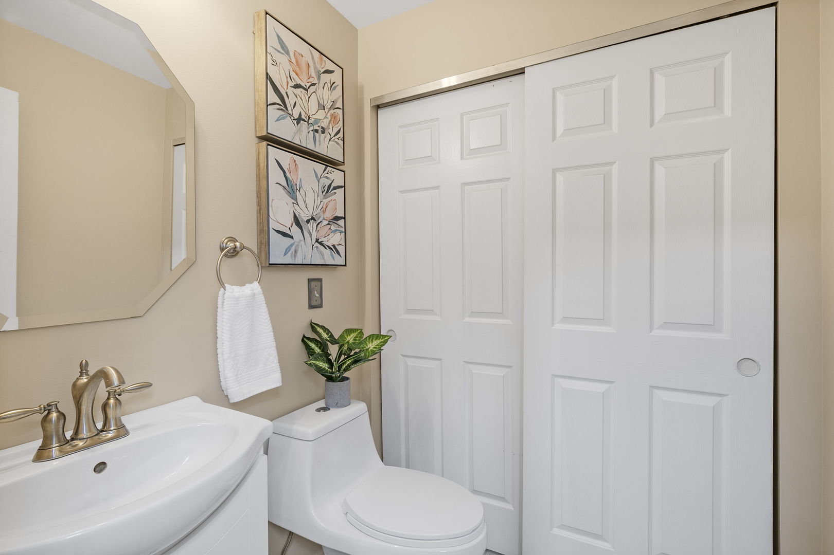 896 Cherry Creek Drive