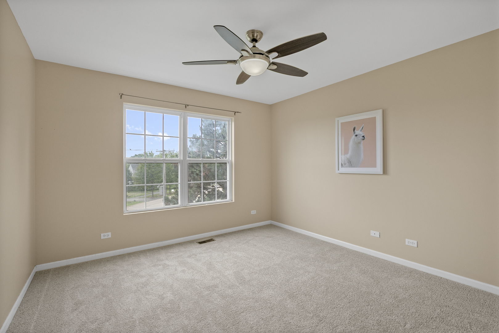 896 Cherry Creek Drive