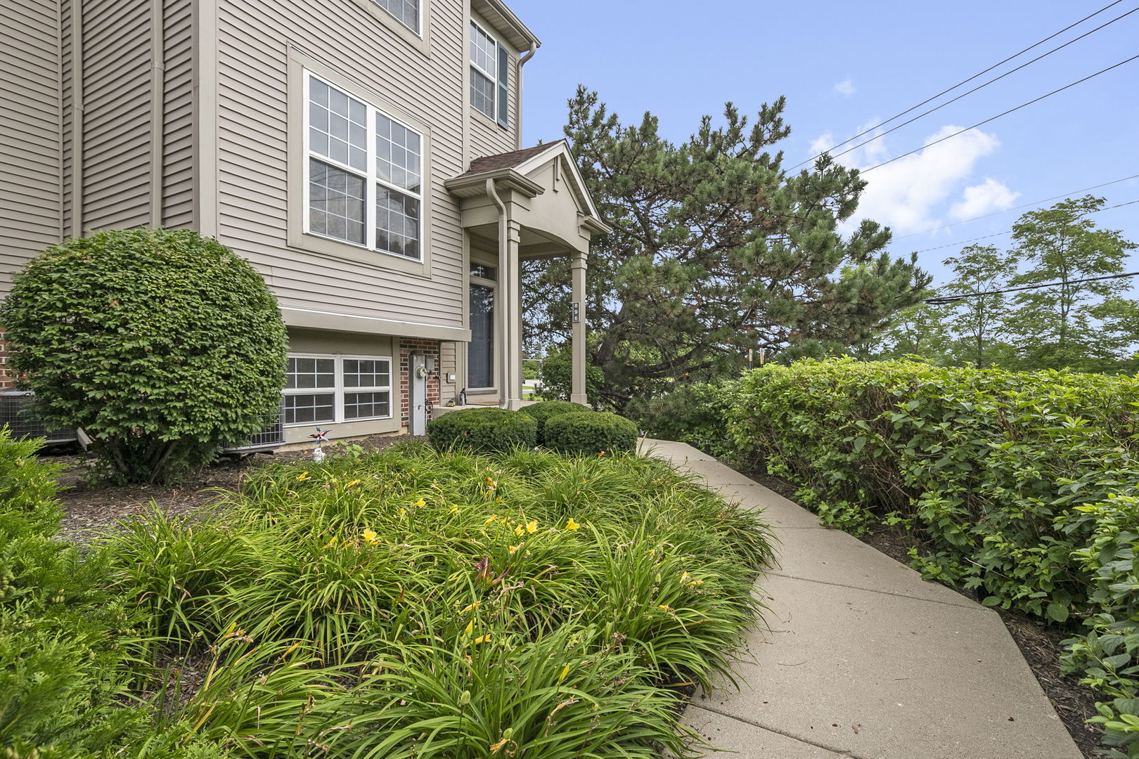 896 Cherry Creek Drive