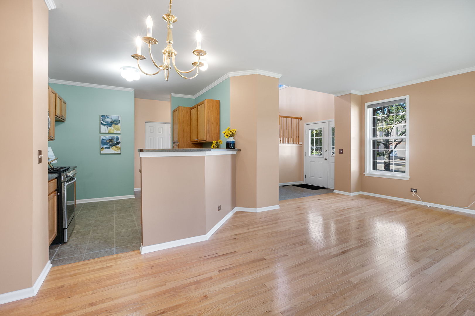 1319 W Crane View Court