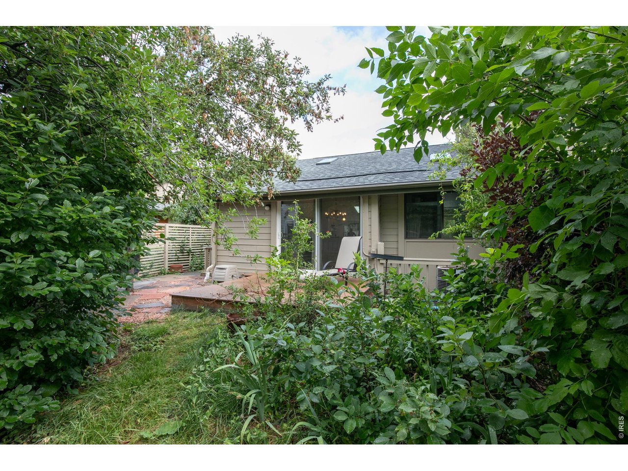 Home’s rear patio and sliding glass doors framed by dense greenery and mature trees.