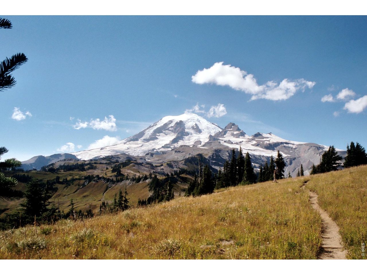 Snow-covered mountain above golden alpine grass and evergreens, with a footpath in the foreground.