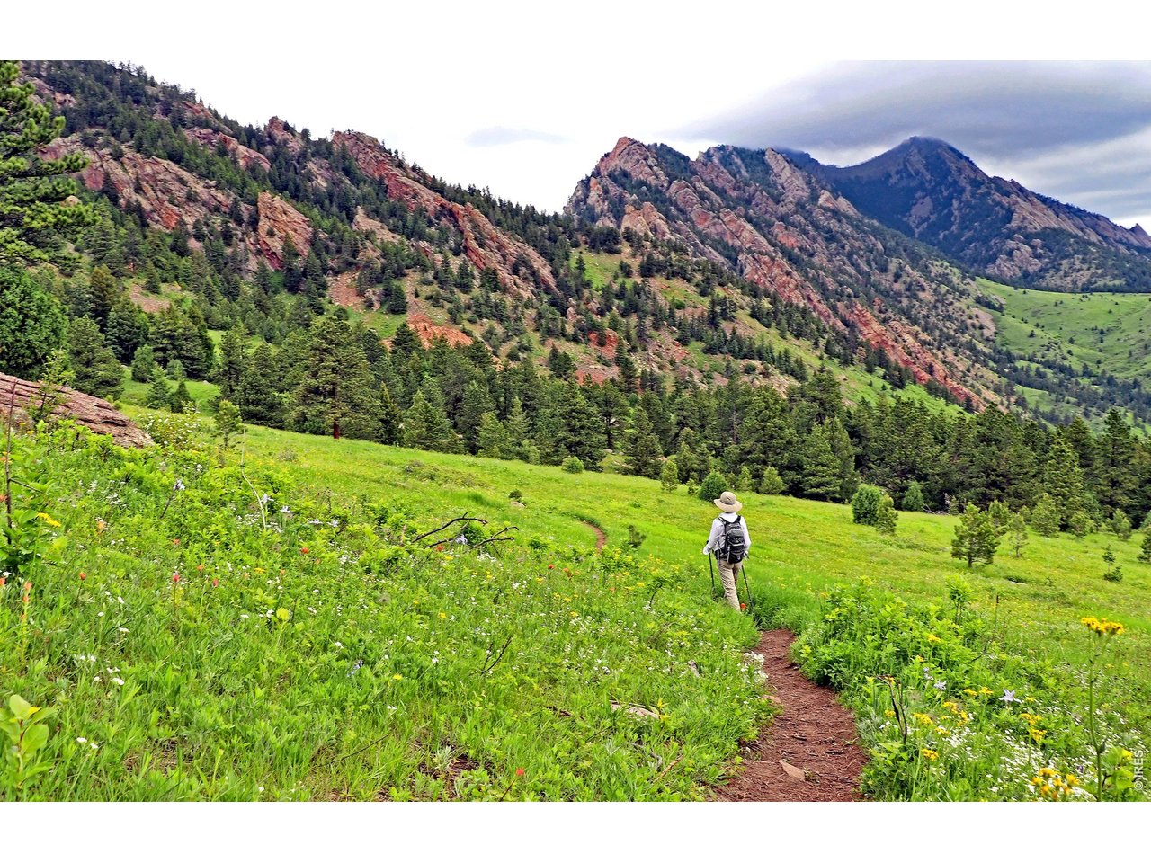 Mountain landscape with a hiker on a trail through a flowered green meadow.