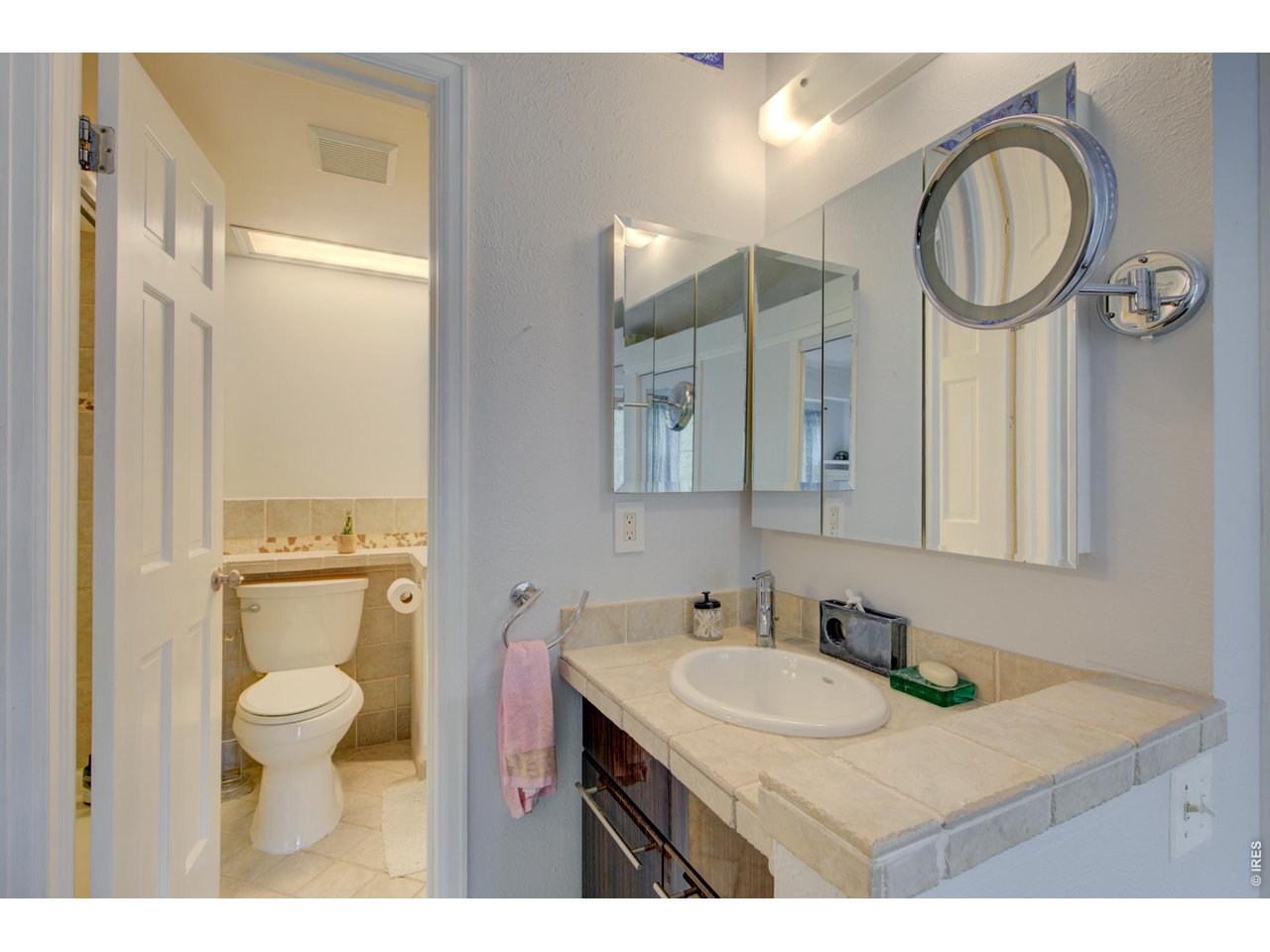 Bathroom with a tiled vanity and oval sink beside a separate toilet alcove.