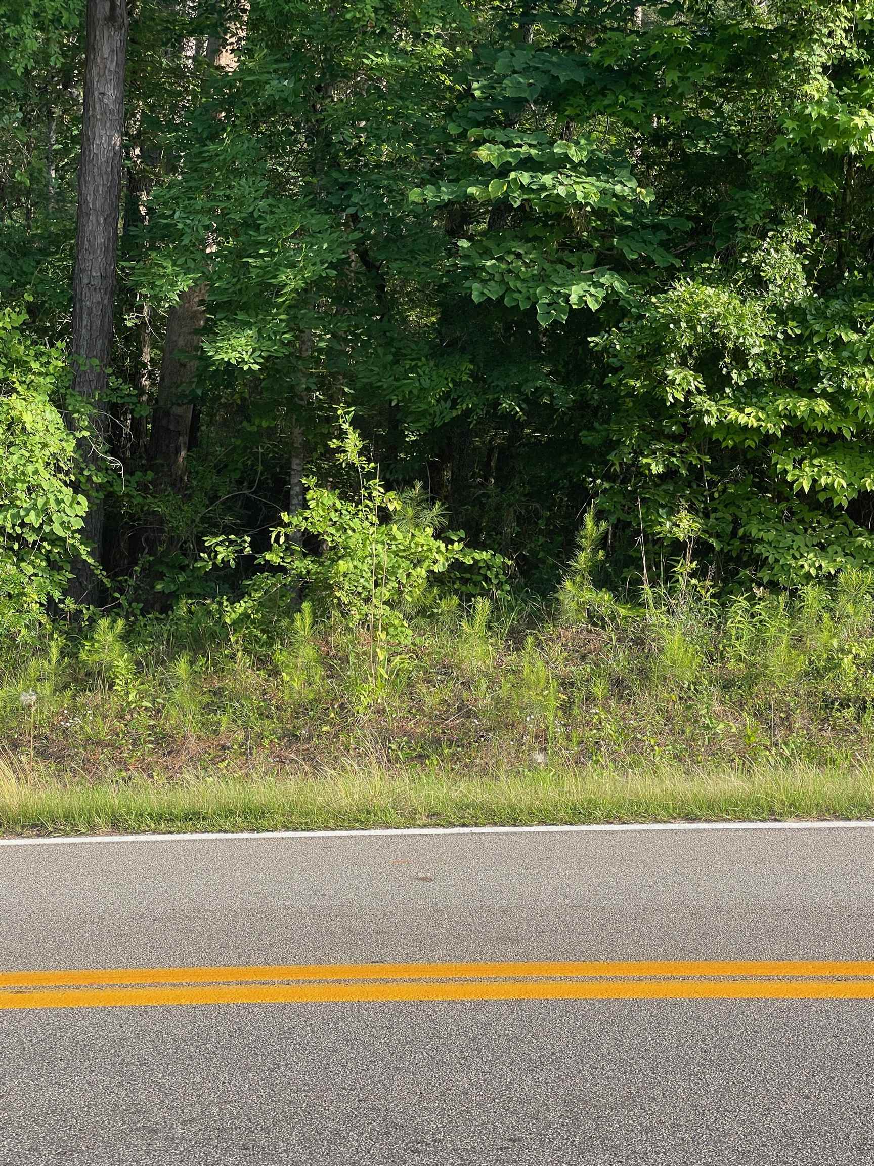Lot #6 LAKE SINCLAIR DRIVE