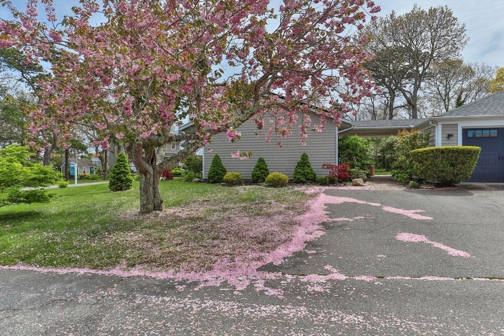 74 Circuit Ave