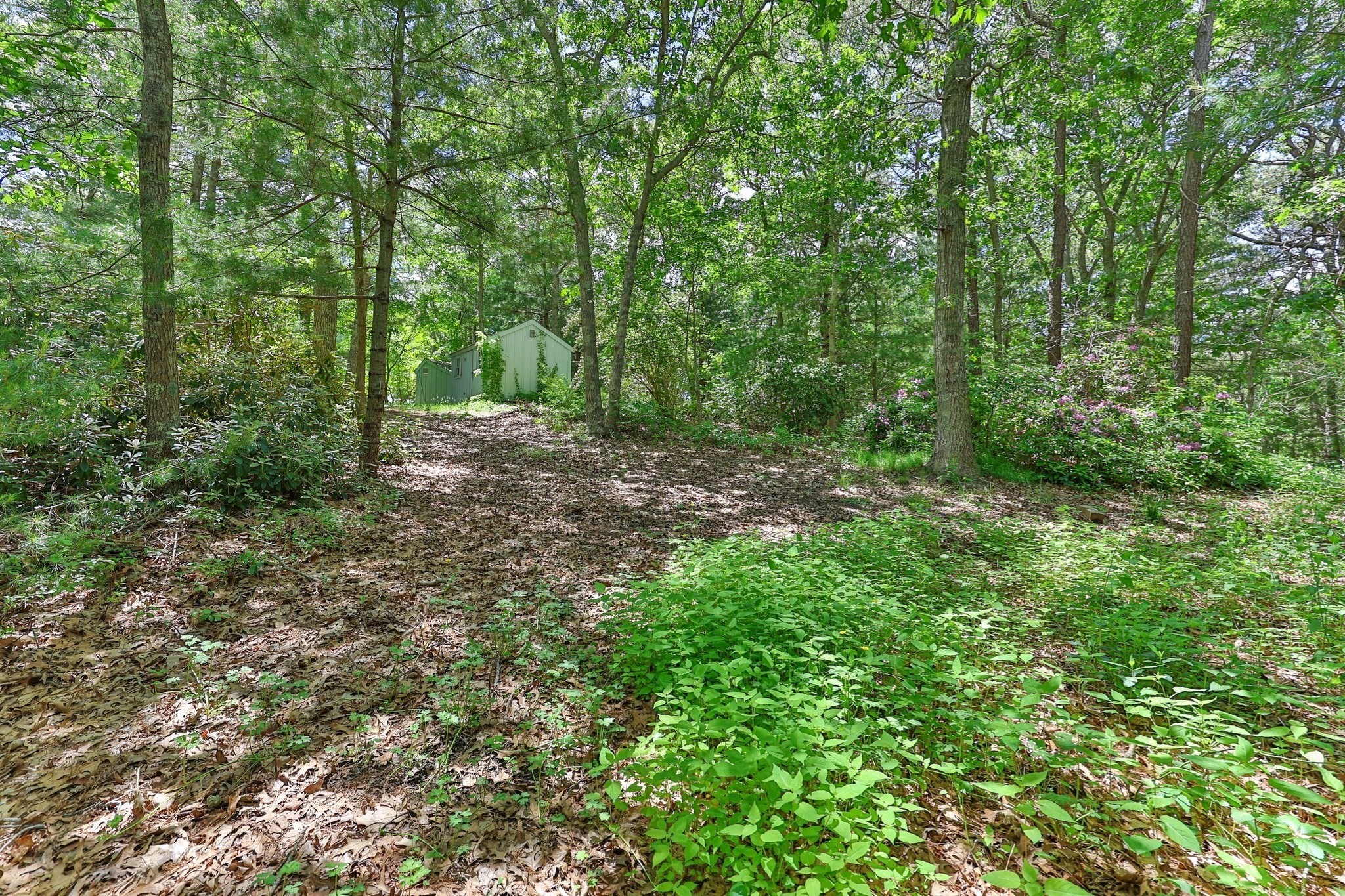 6 Village Dr