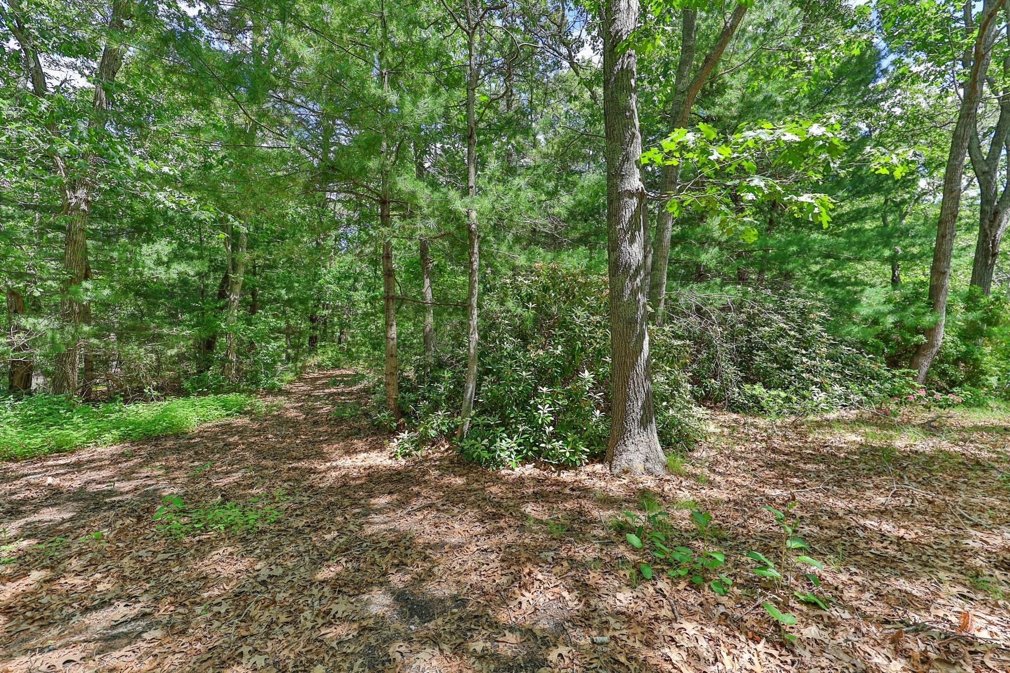 6 Village Dr