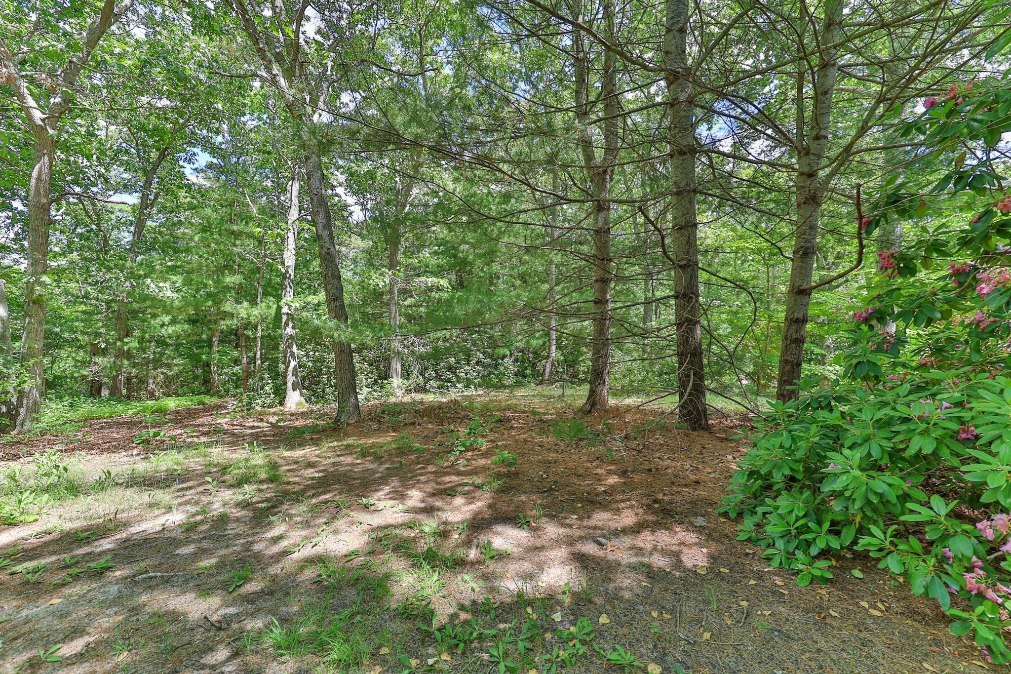 6 Village Dr
