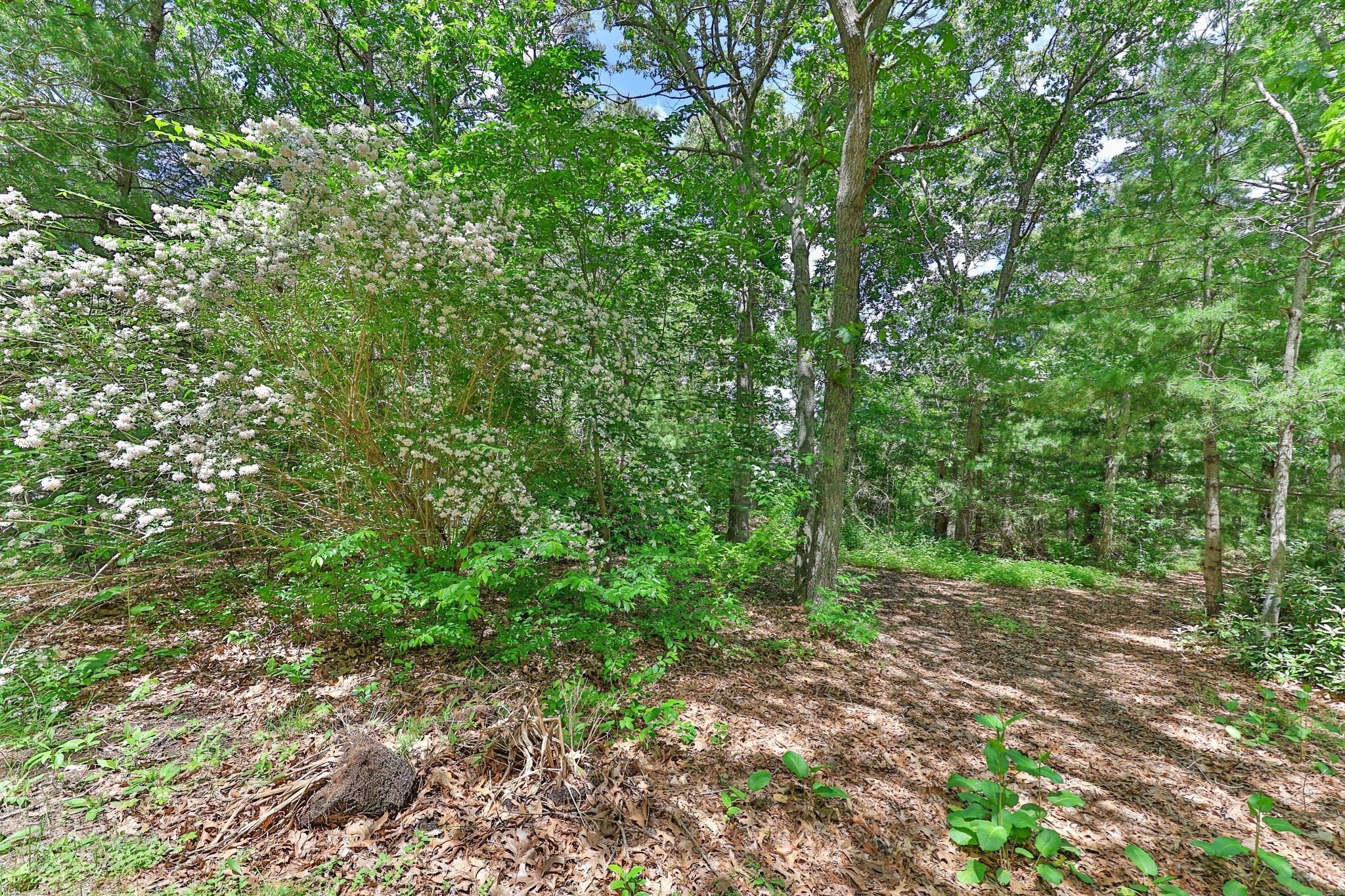 6 Village Dr