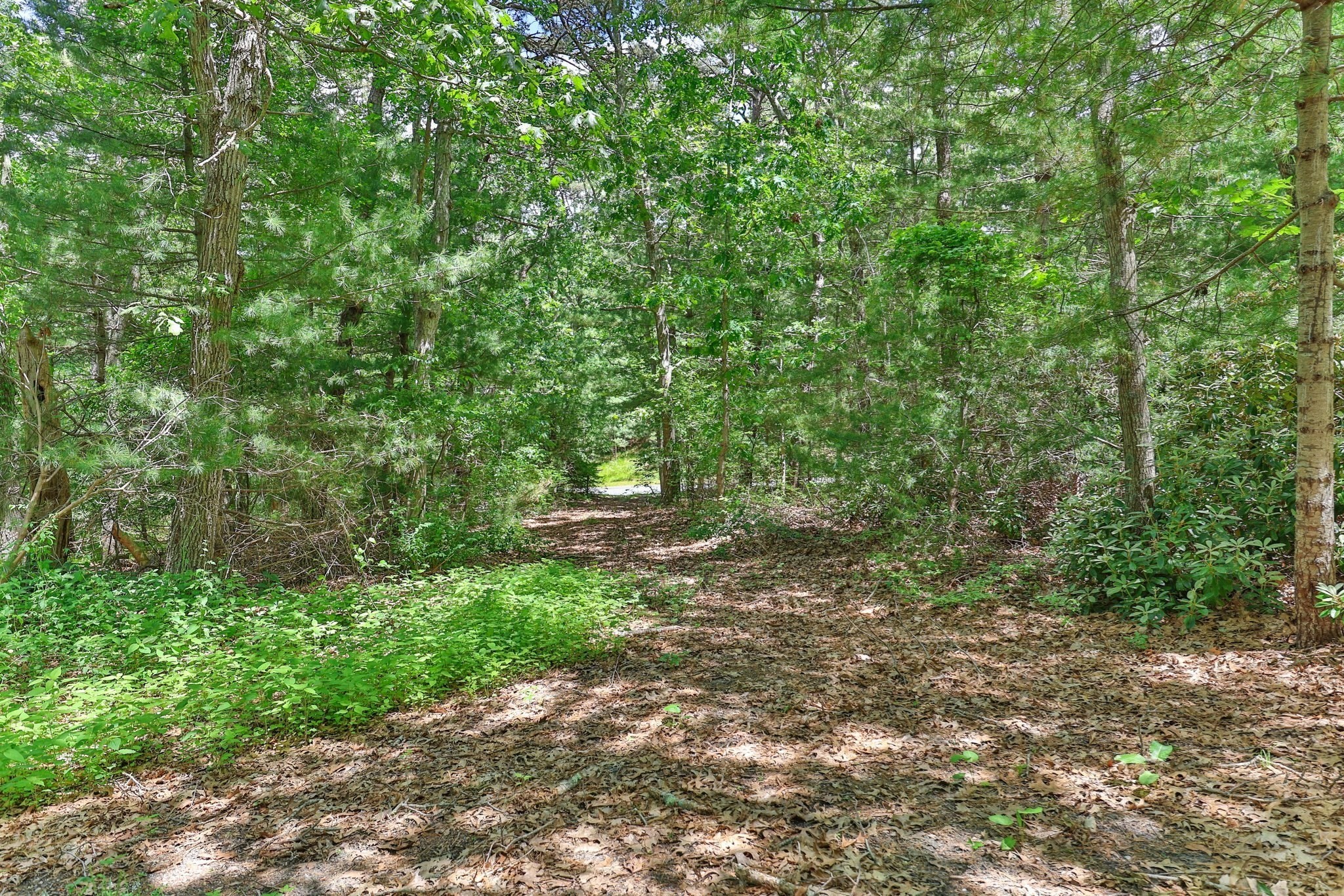 6 Village Dr