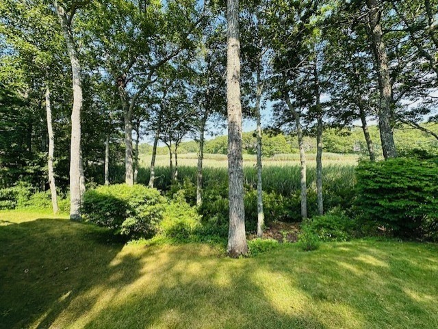 106 Waterside Dr