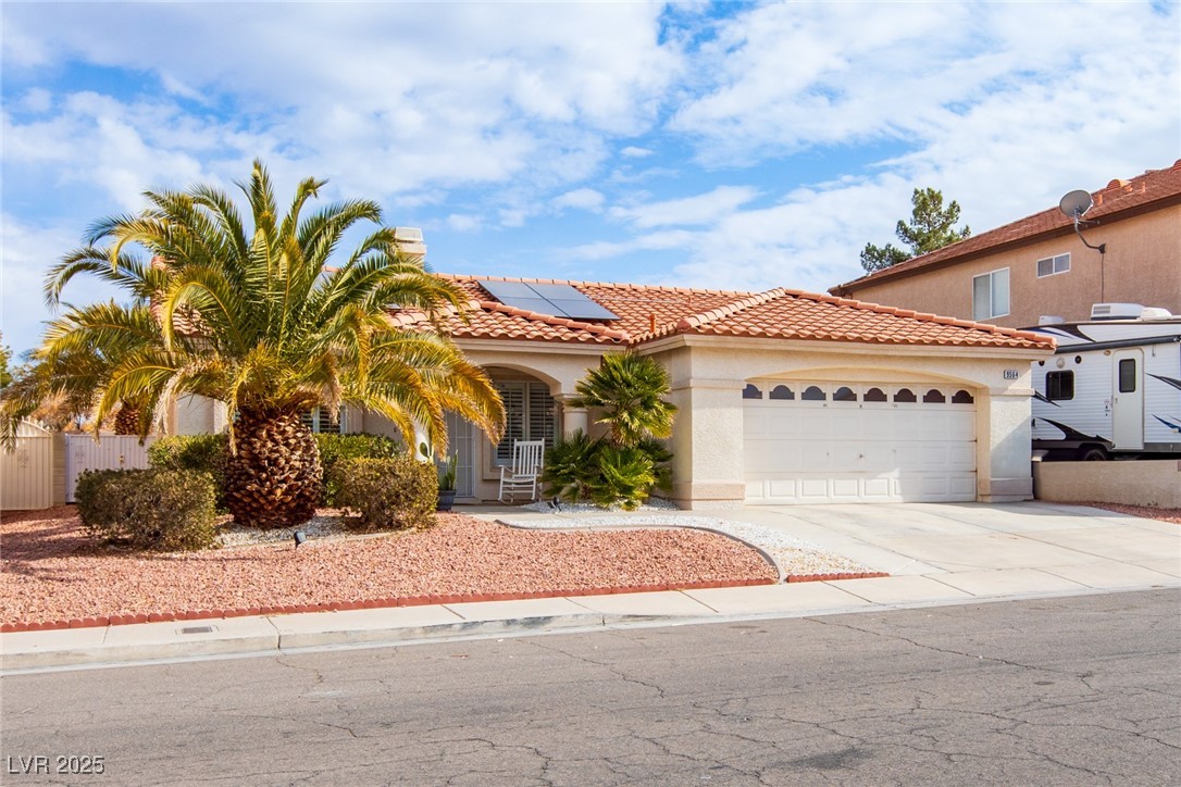 9564 Summer Cypress Street