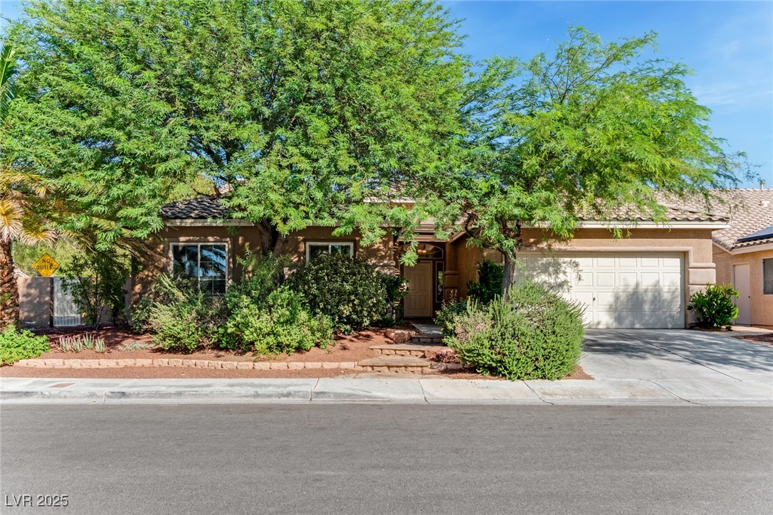 1006 Coldwater Falls Way