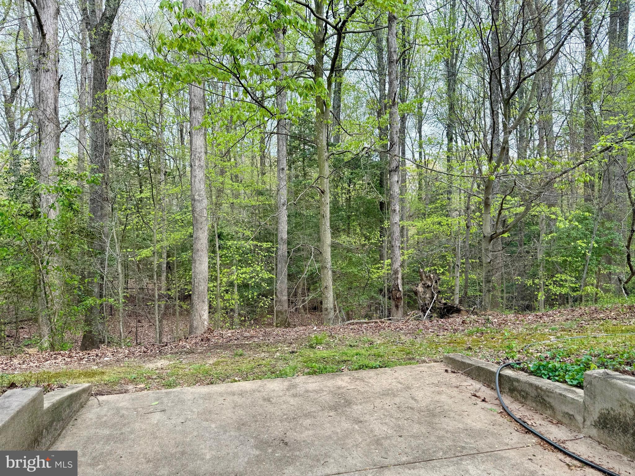 12225 Manor Ct
