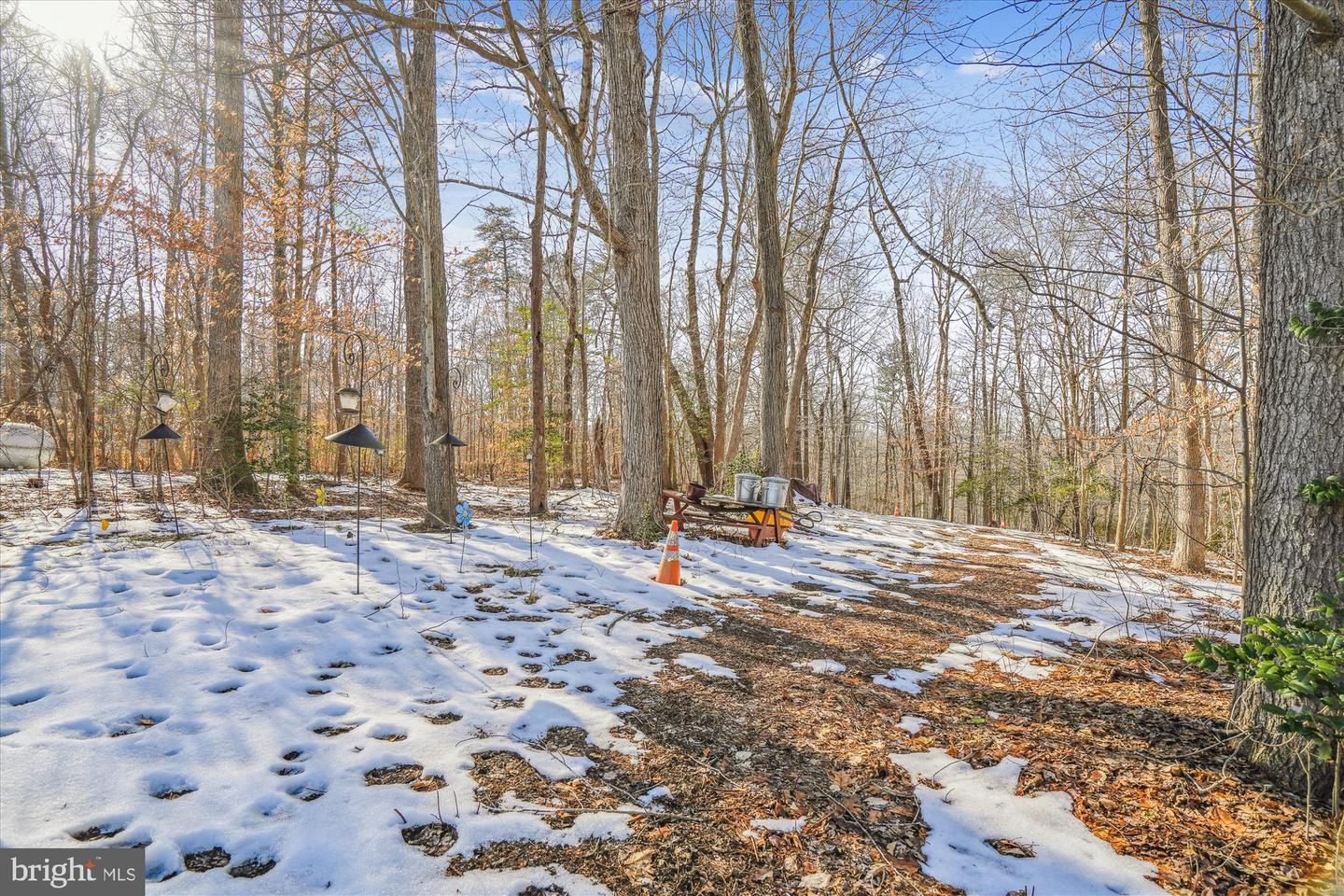 16006 Tanyard Rd