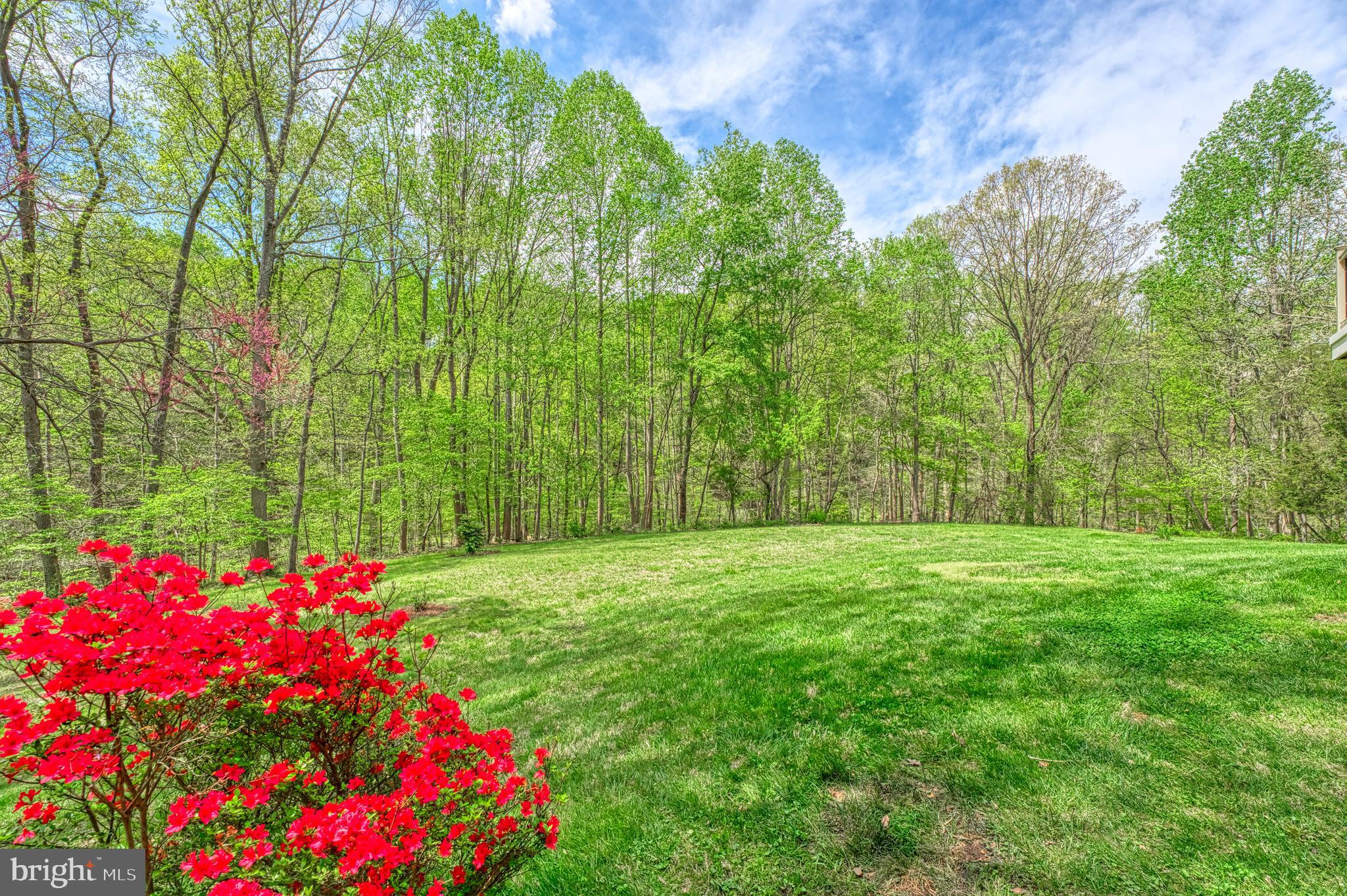 7419 Georgetown Ct