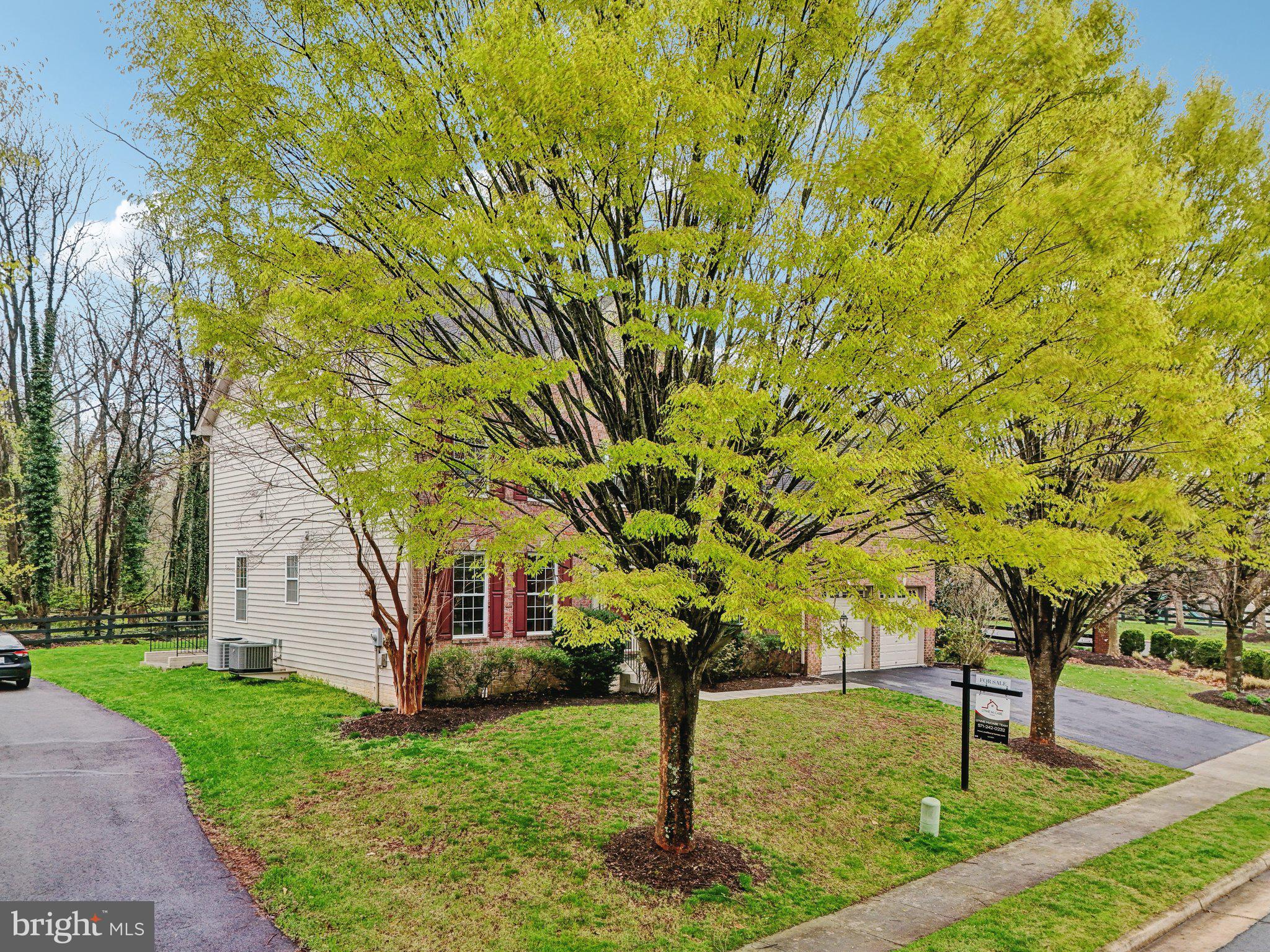 101 Levenbury Pl